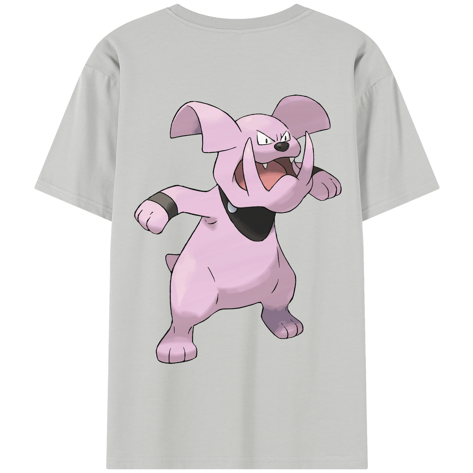 （画像用） ポケットモンスター Pokémon レディース半袖Tシャツ(バックプリント)