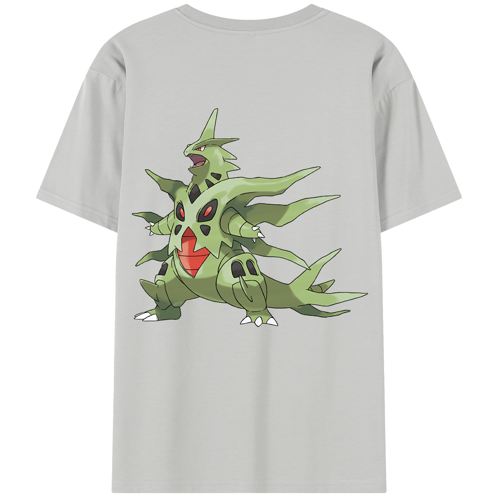（画像用） ポケットモンスター Pokémon レディース半袖Tシャツ(バックプリント)
