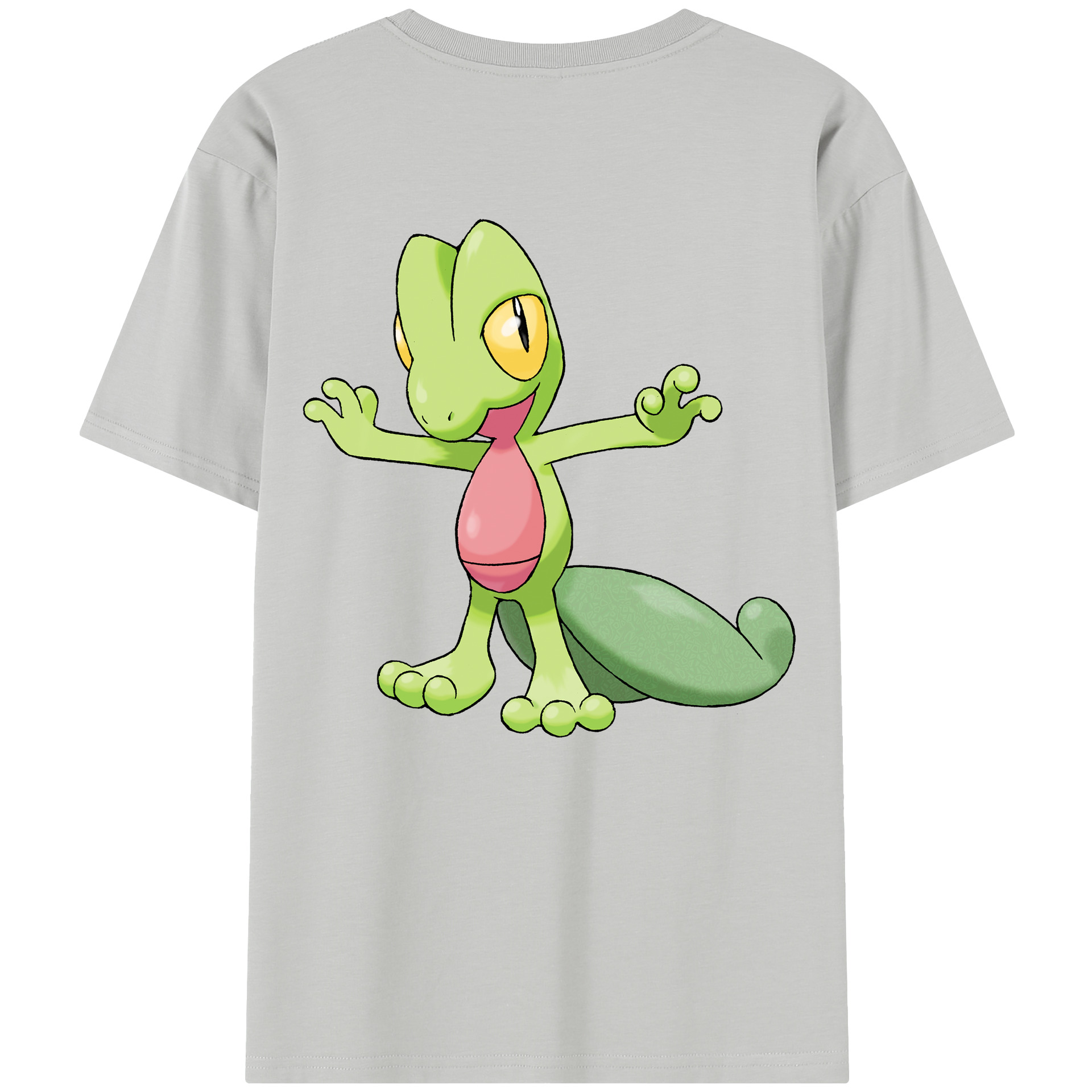 （画像用） ポケットモンスター Pokémon レディース半袖Tシャツ(バックプリント)