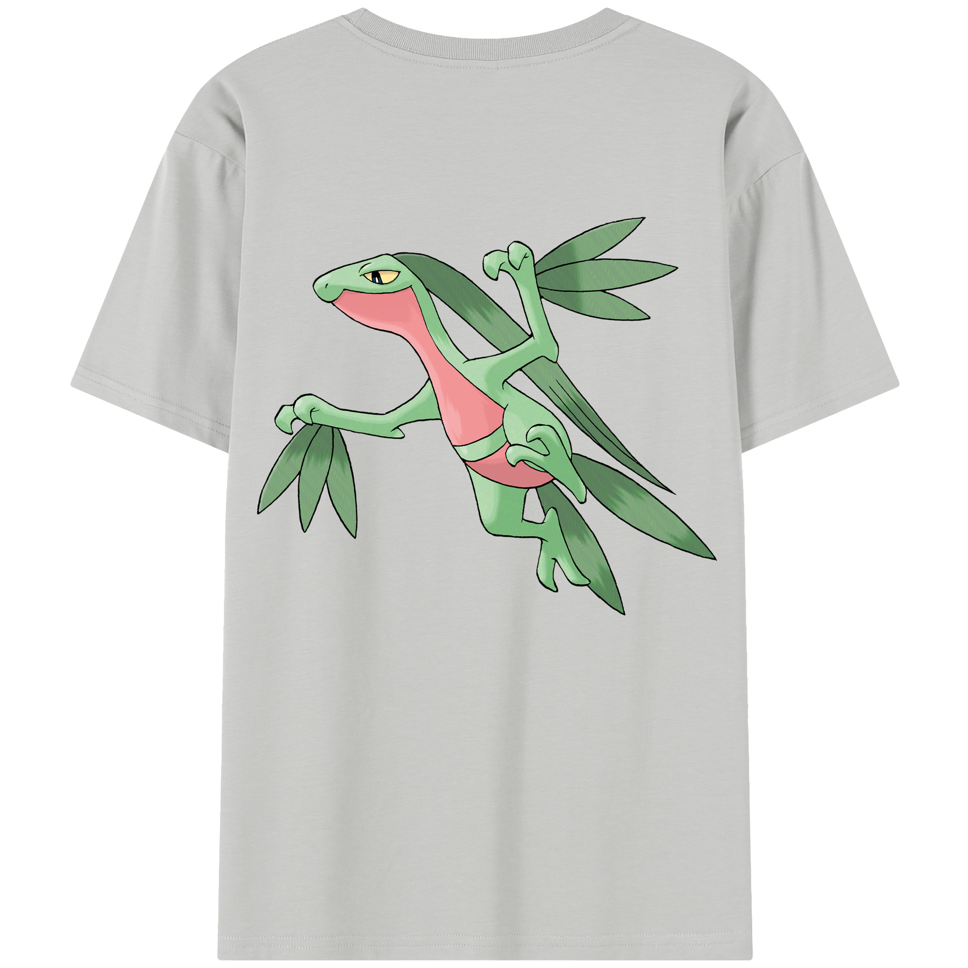 （画像用） ポケットモンスター Pokémon レディース半袖Tシャツ(バックプリント)