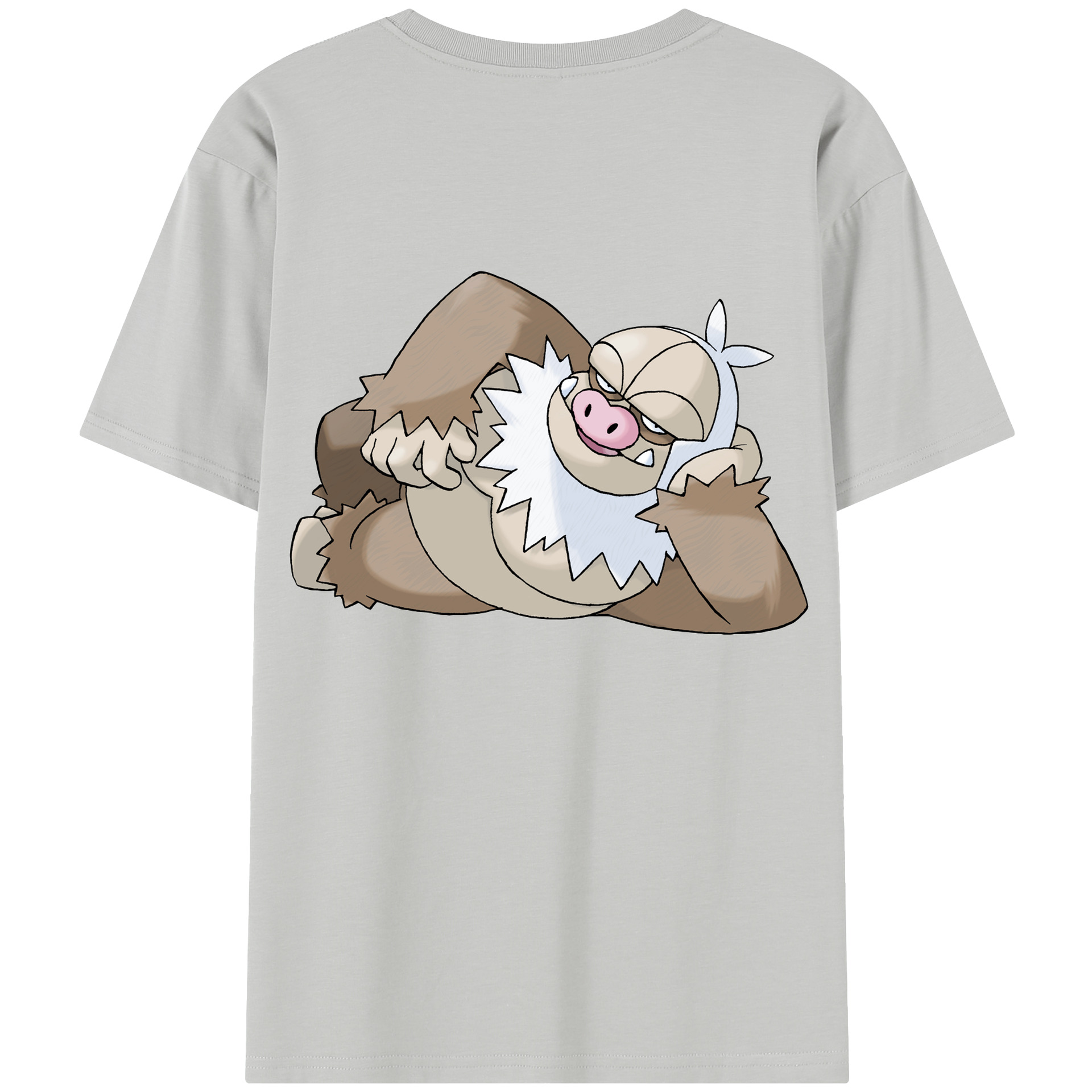 （画像用） ポケットモンスター Pokémon レディース半袖Tシャツ(バックプリント)