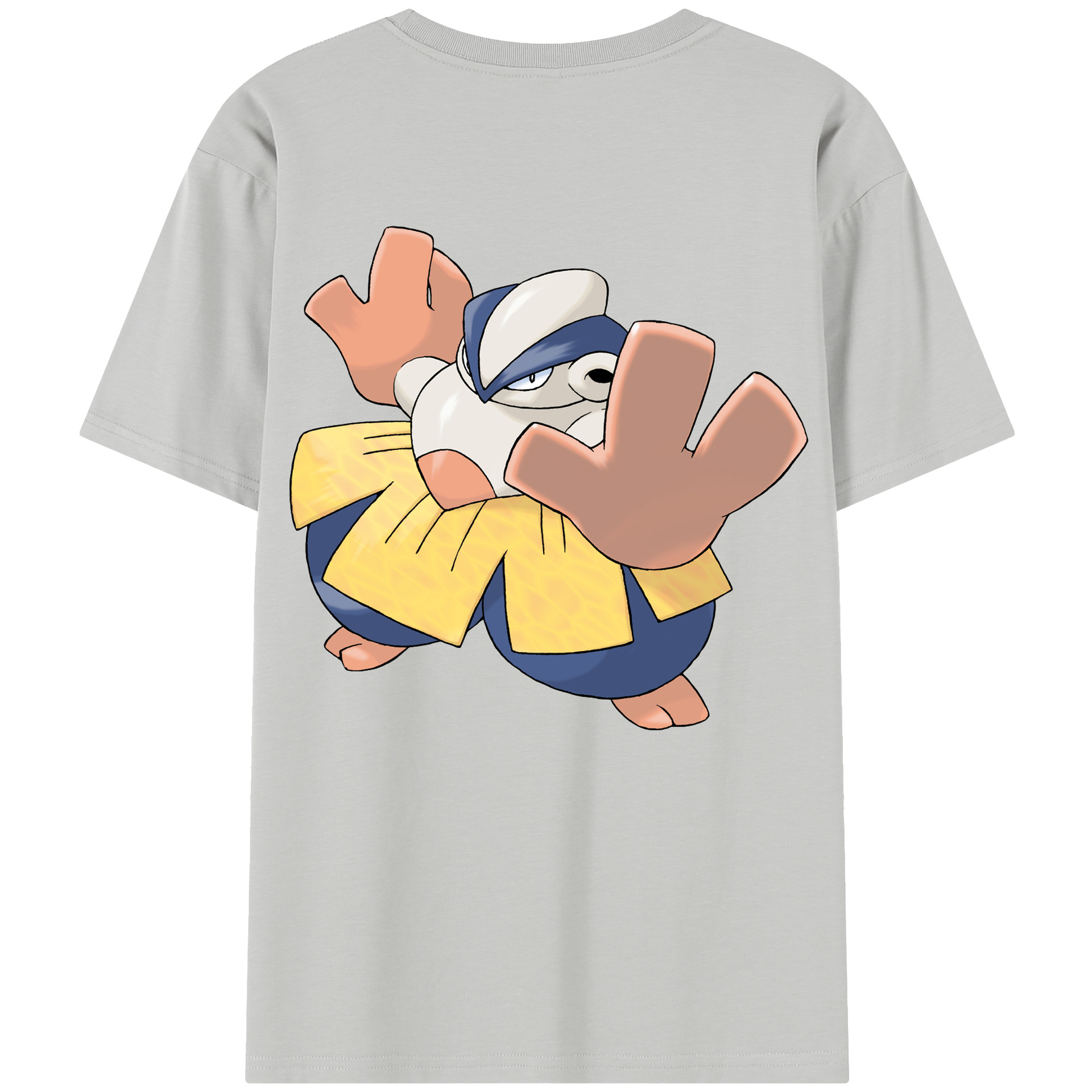 （画像用） ポケットモンスター Pokémon レディース半袖Tシャツ(バックプリント)