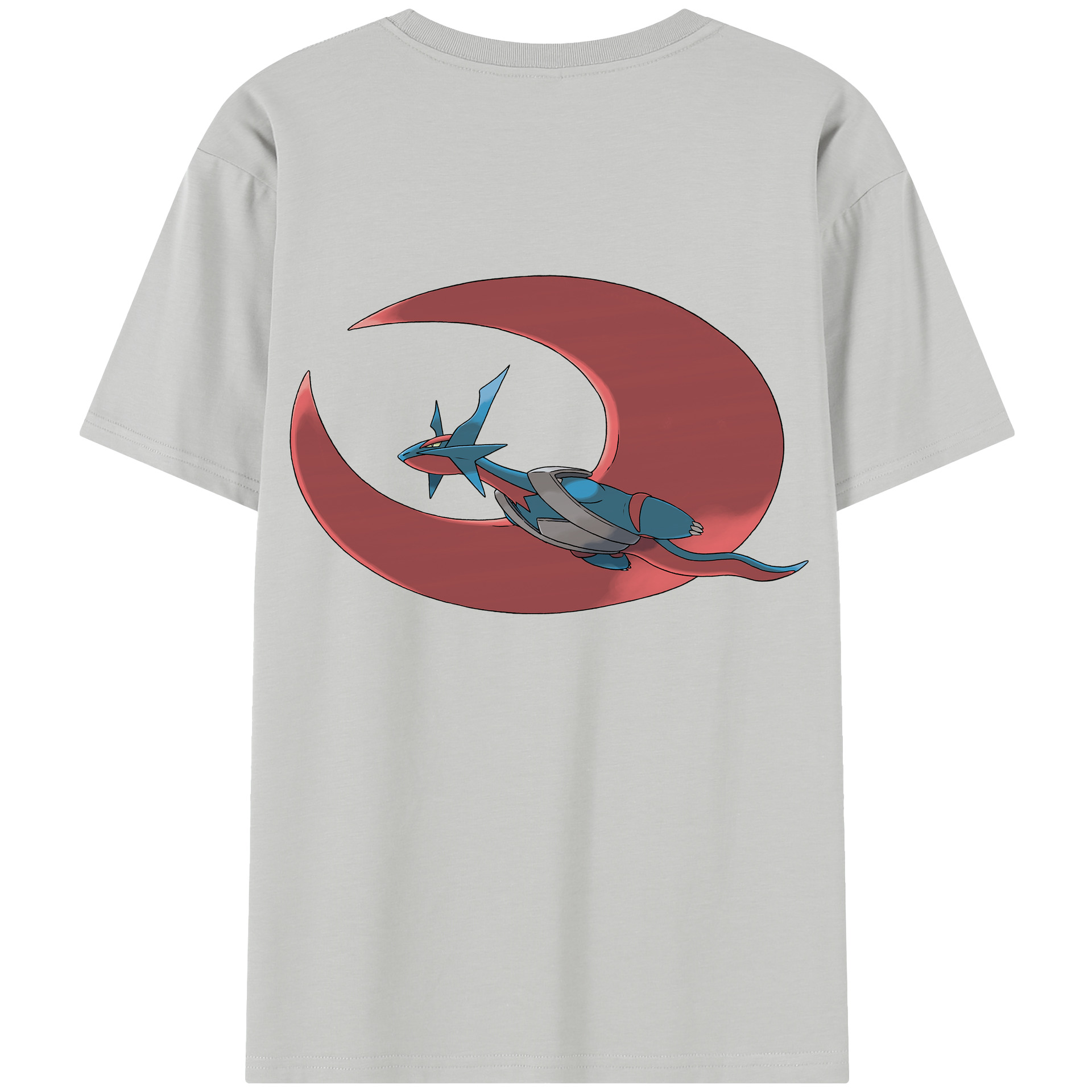 （画像用） ポケットモンスター Pokémon レディース半袖Tシャツ(バックプリント)