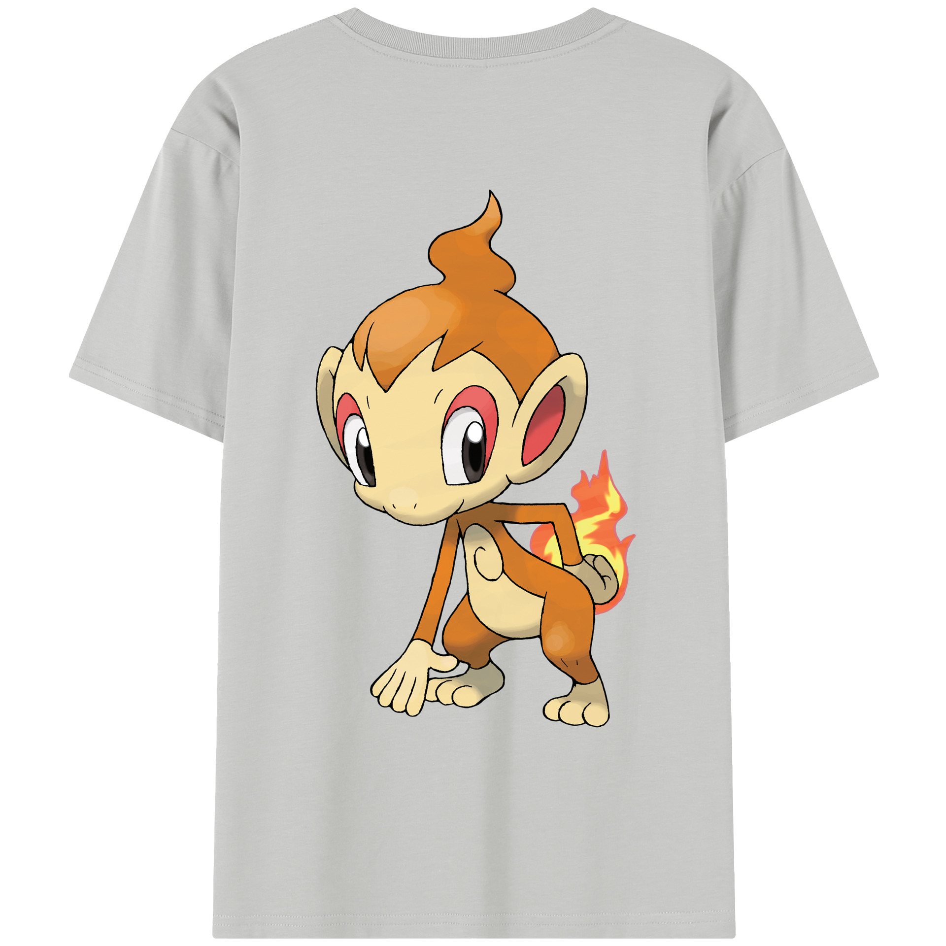 （画像用） ポケットモンスター Pokémon レディース半袖Tシャツ(バックプリント)