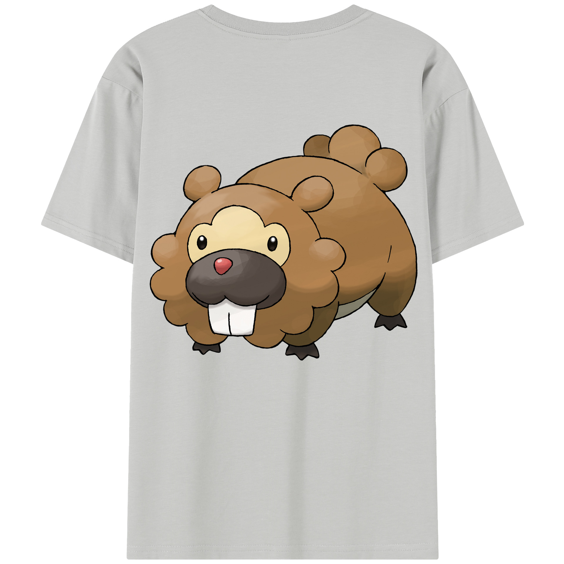 （画像用） ポケットモンスター Pokémon レディース半袖Tシャツ(バックプリント)
