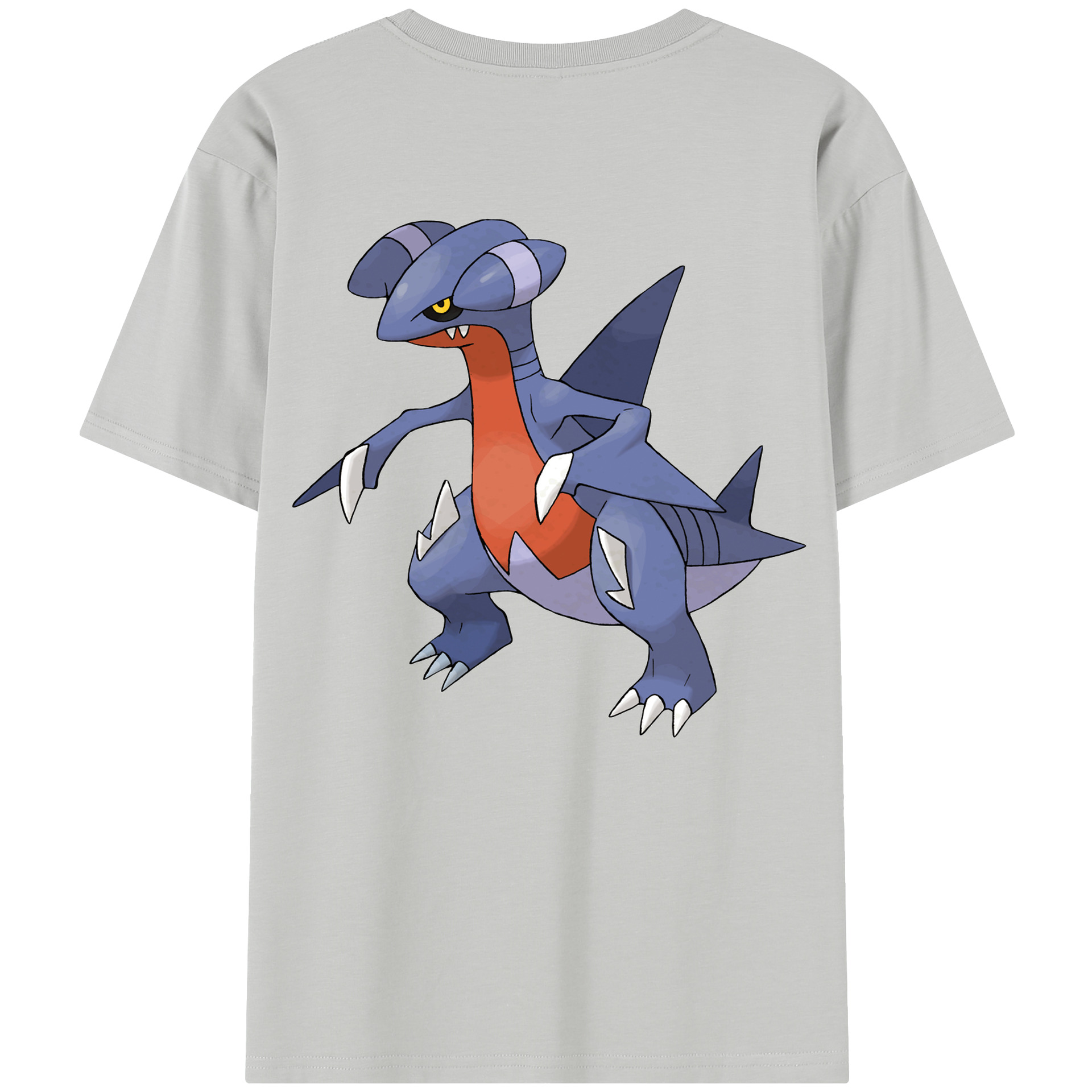 （画像用） ポケットモンスター Pokémon レディース半袖Tシャツ(バックプリント)