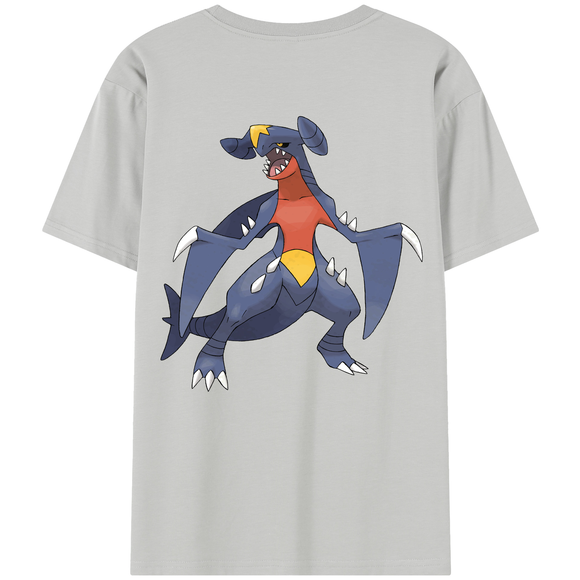 （画像用） ポケットモンスター Pokémon レディース半袖Tシャツ(バックプリント)