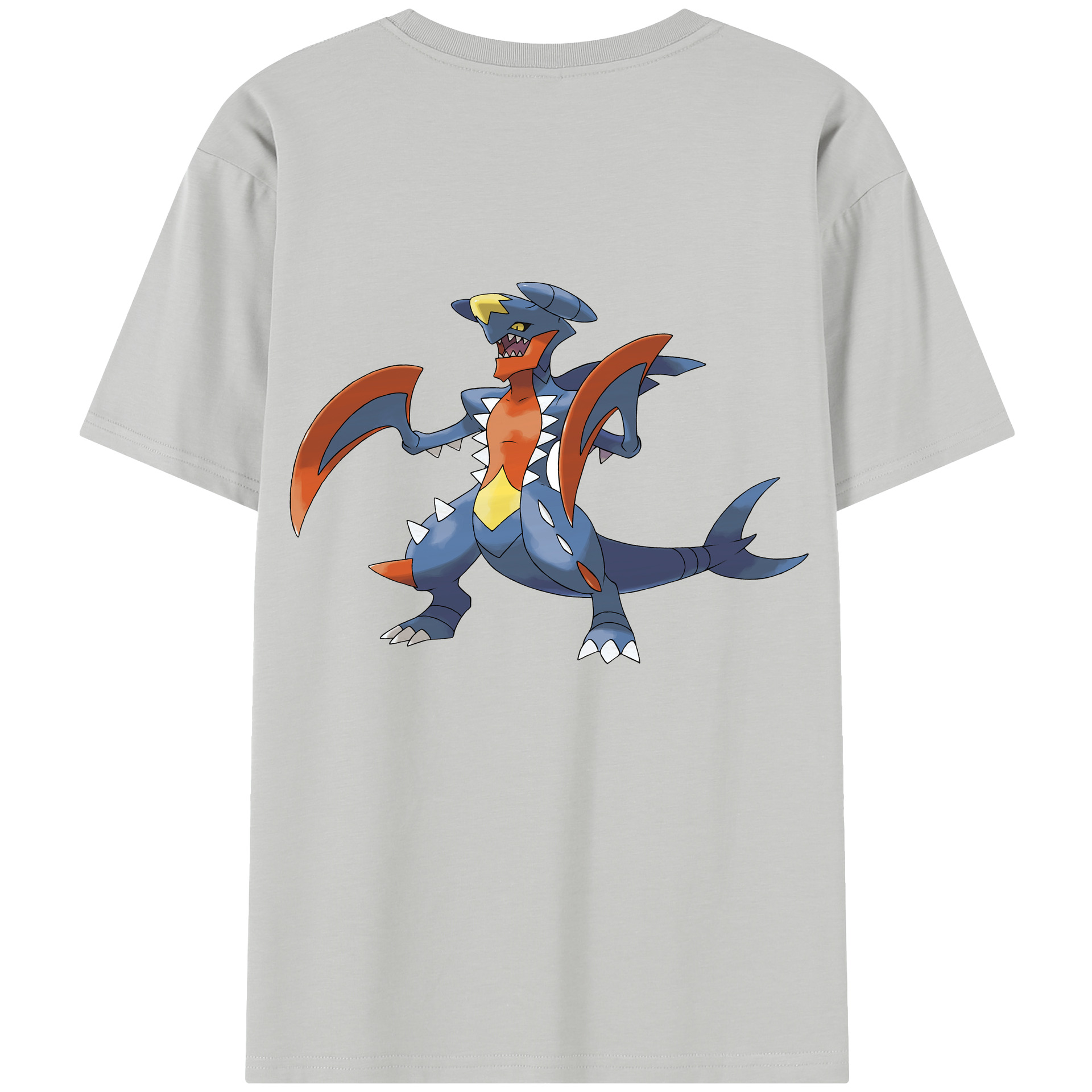 （画像用） ポケットモンスター Pokémon レディース半袖Tシャツ(バックプリント)