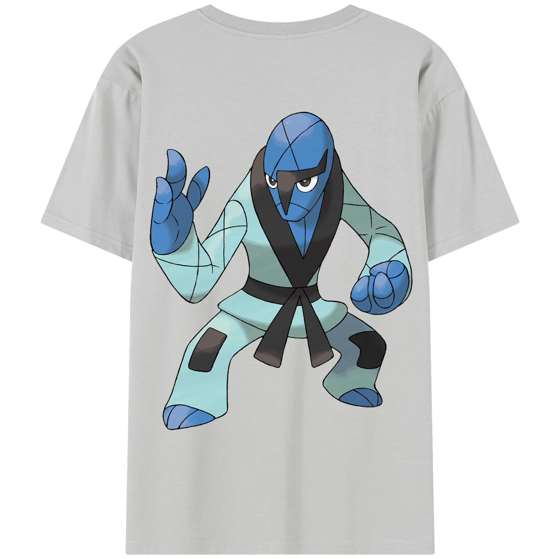 （画像用） ポケットモンスター Pokémon レディース半袖Tシャツ(バックプリント)
