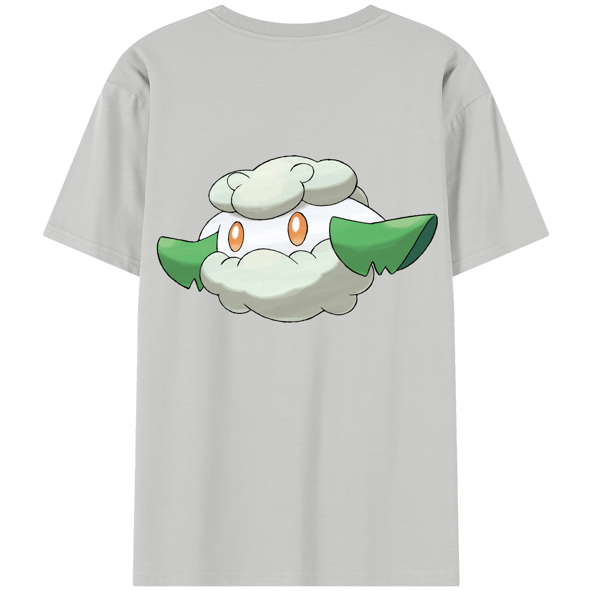 （画像用） ポケットモンスター Pokémon レディース半袖Tシャツ(バックプリント)
