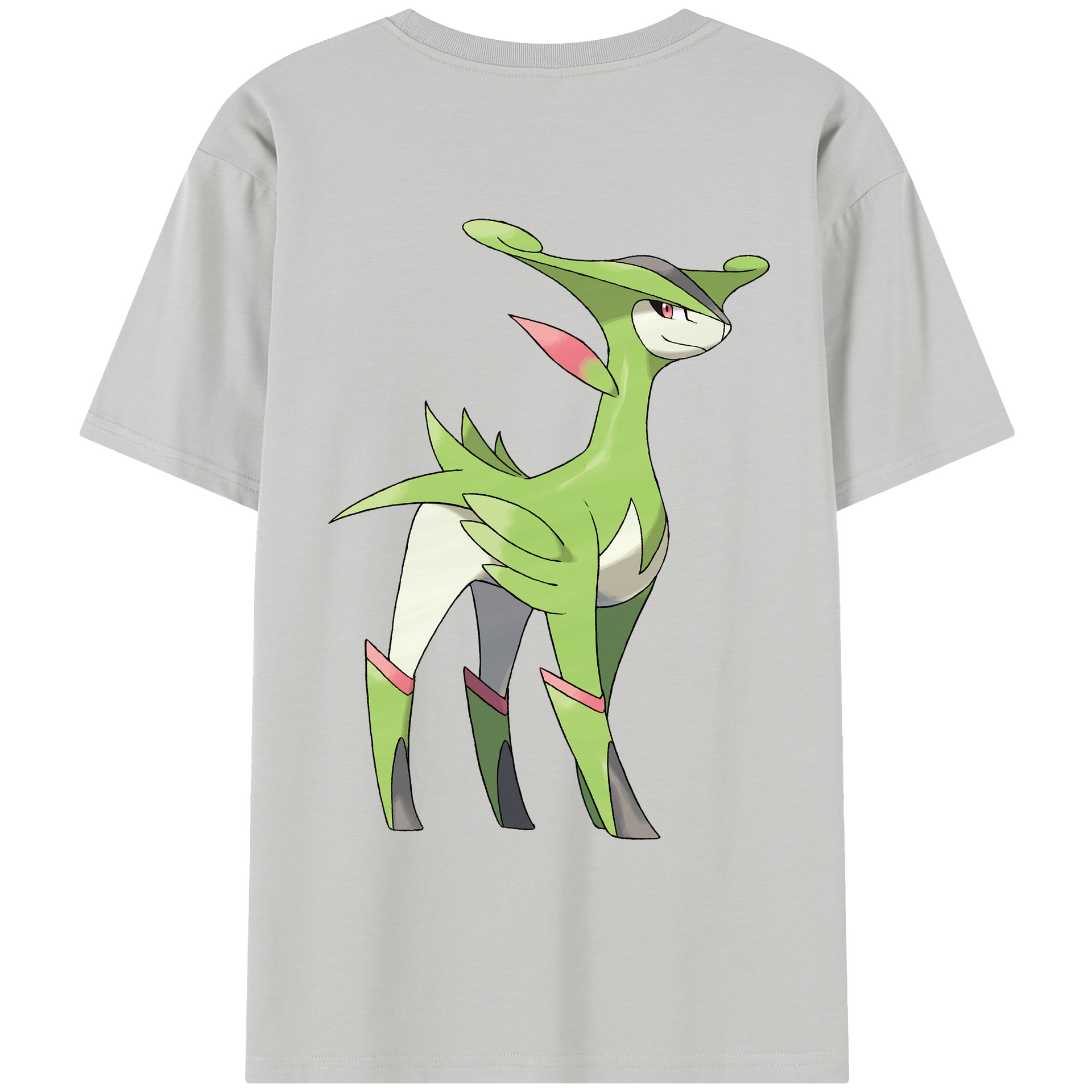 （画像用） ポケットモンスター Pokémon レディース半袖Tシャツ(バックプリント)