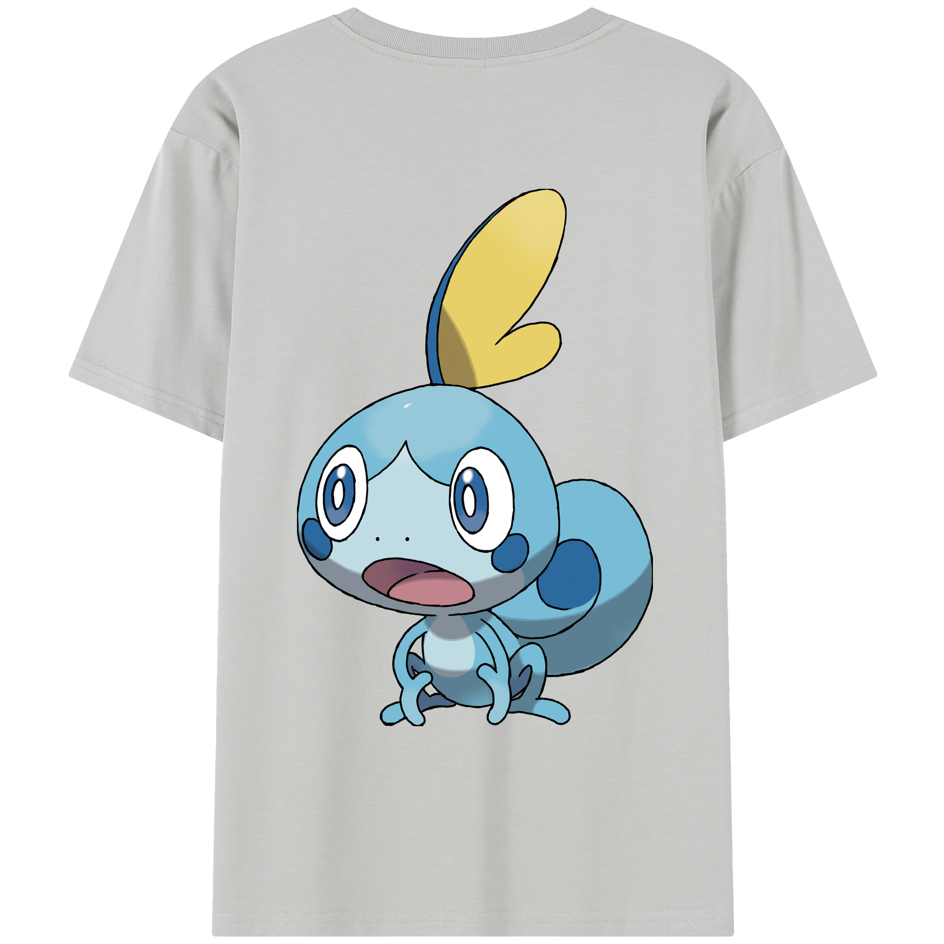 （画像用） ポケットモンスター Pokémon レディース半袖Tシャツ(バックプリント)