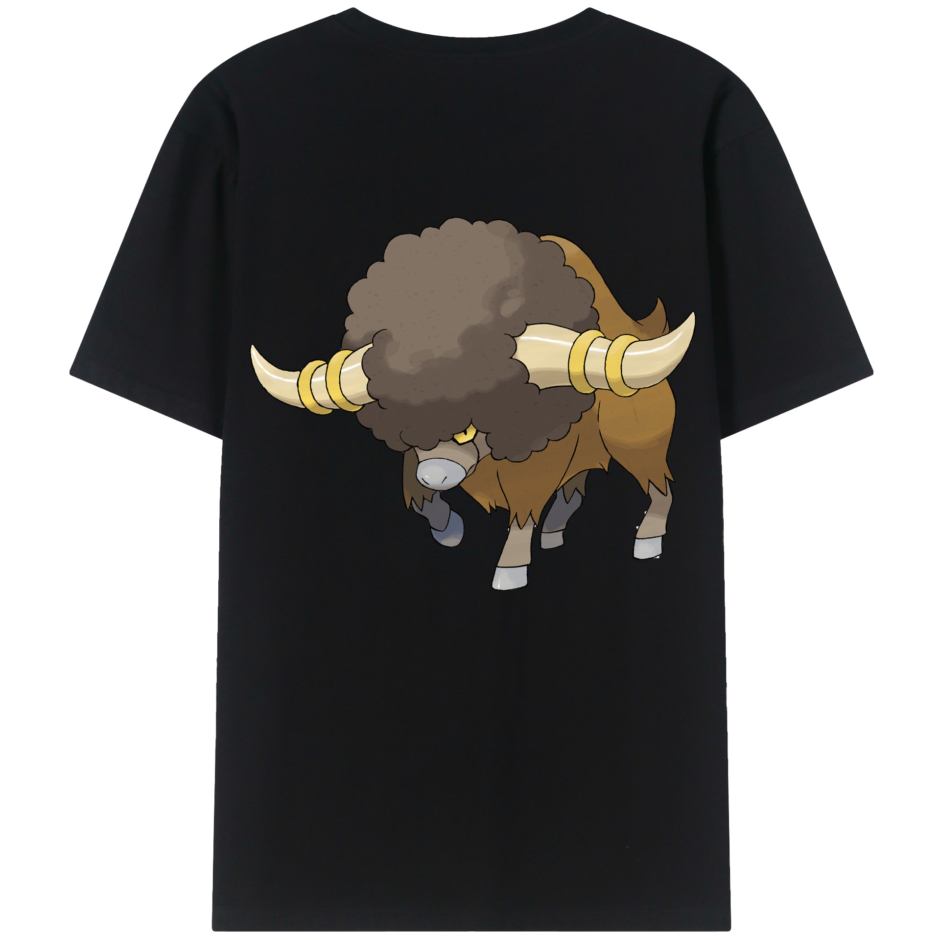（画像用） ポケットモンスター Pokémon レディース半袖Tシャツ(バックプリント)