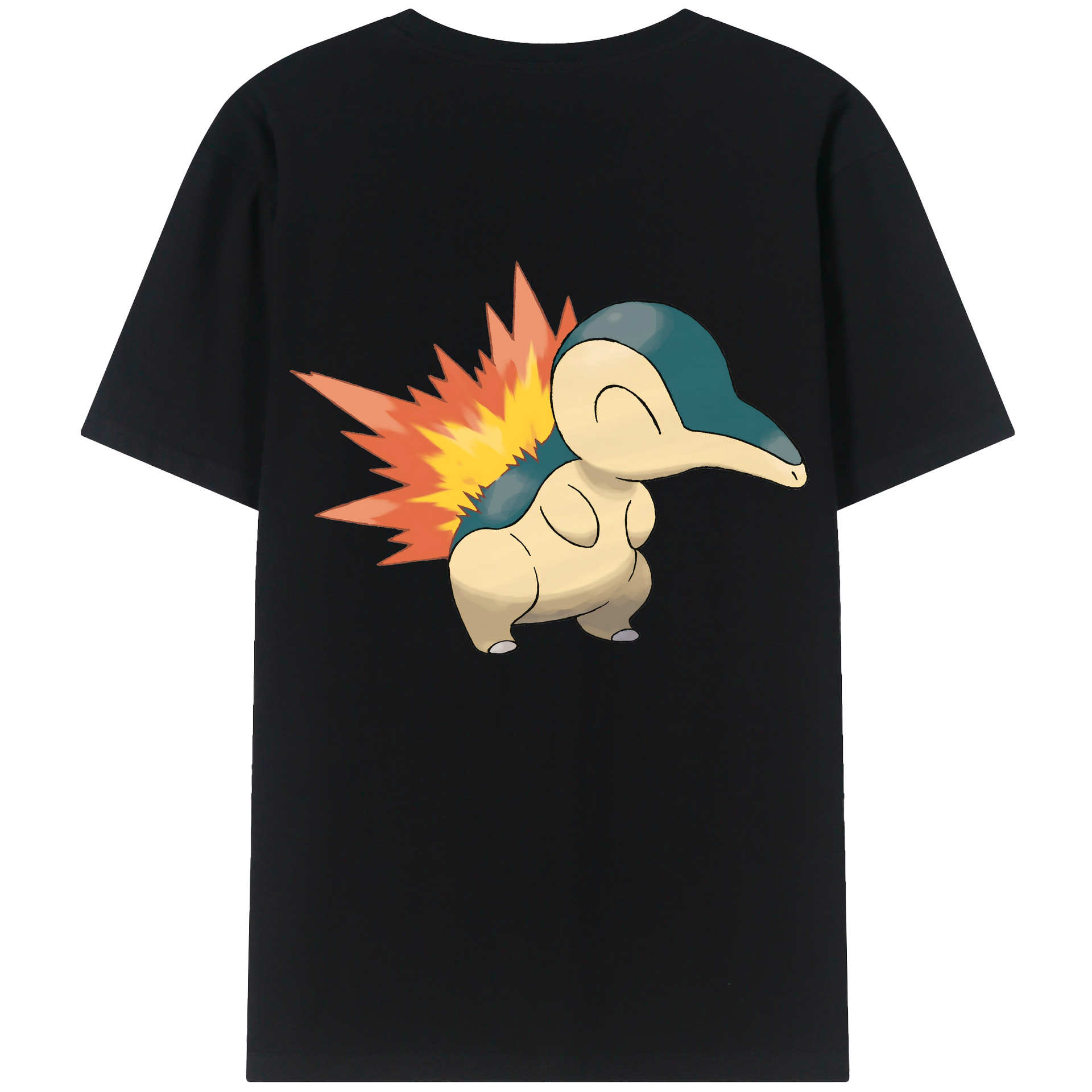 （画像用） ポケットモンスター Pokémon レディース半袖Tシャツ(バックプリント)