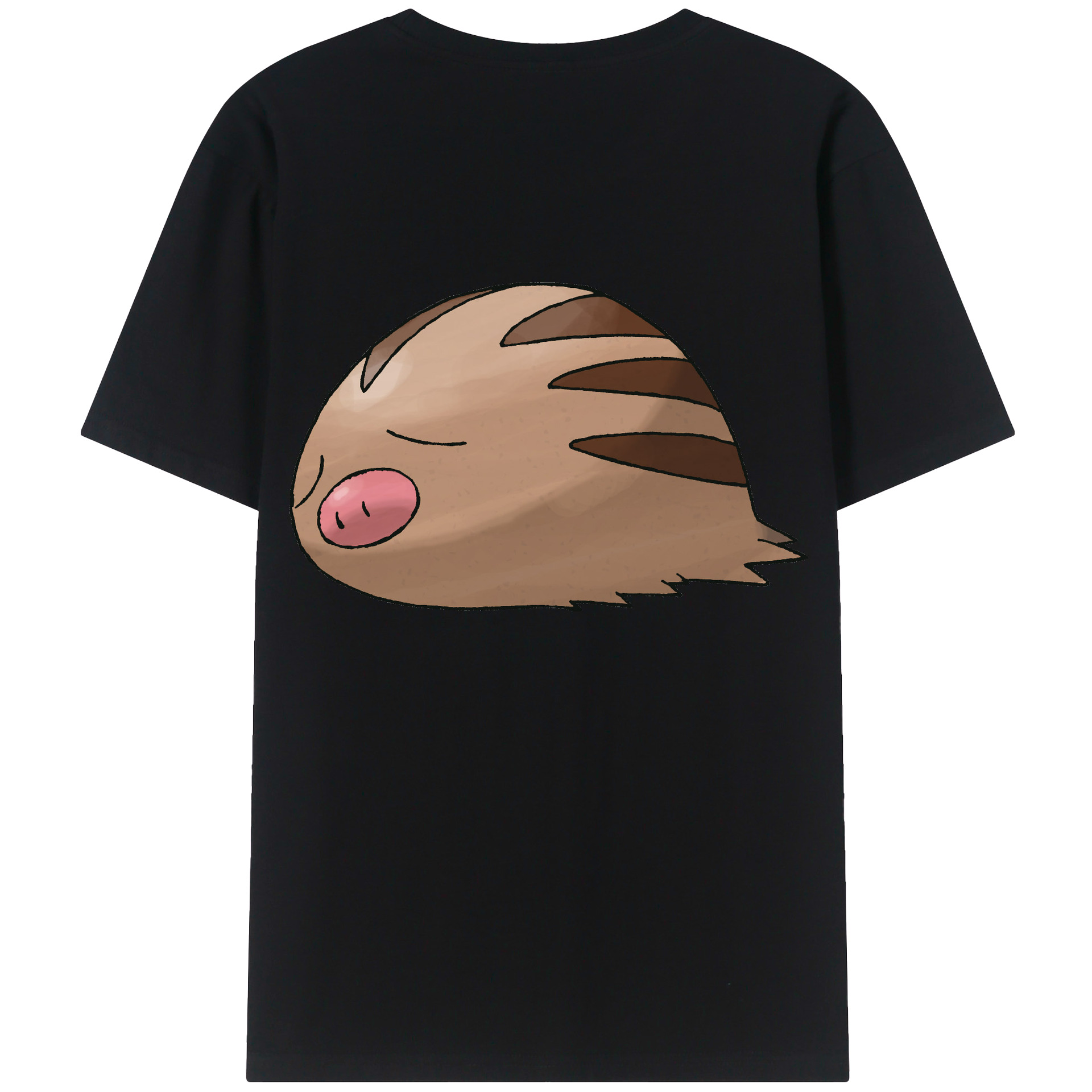 （画像用） ポケットモンスター Pokémon レディース半袖Tシャツ(バックプリント)