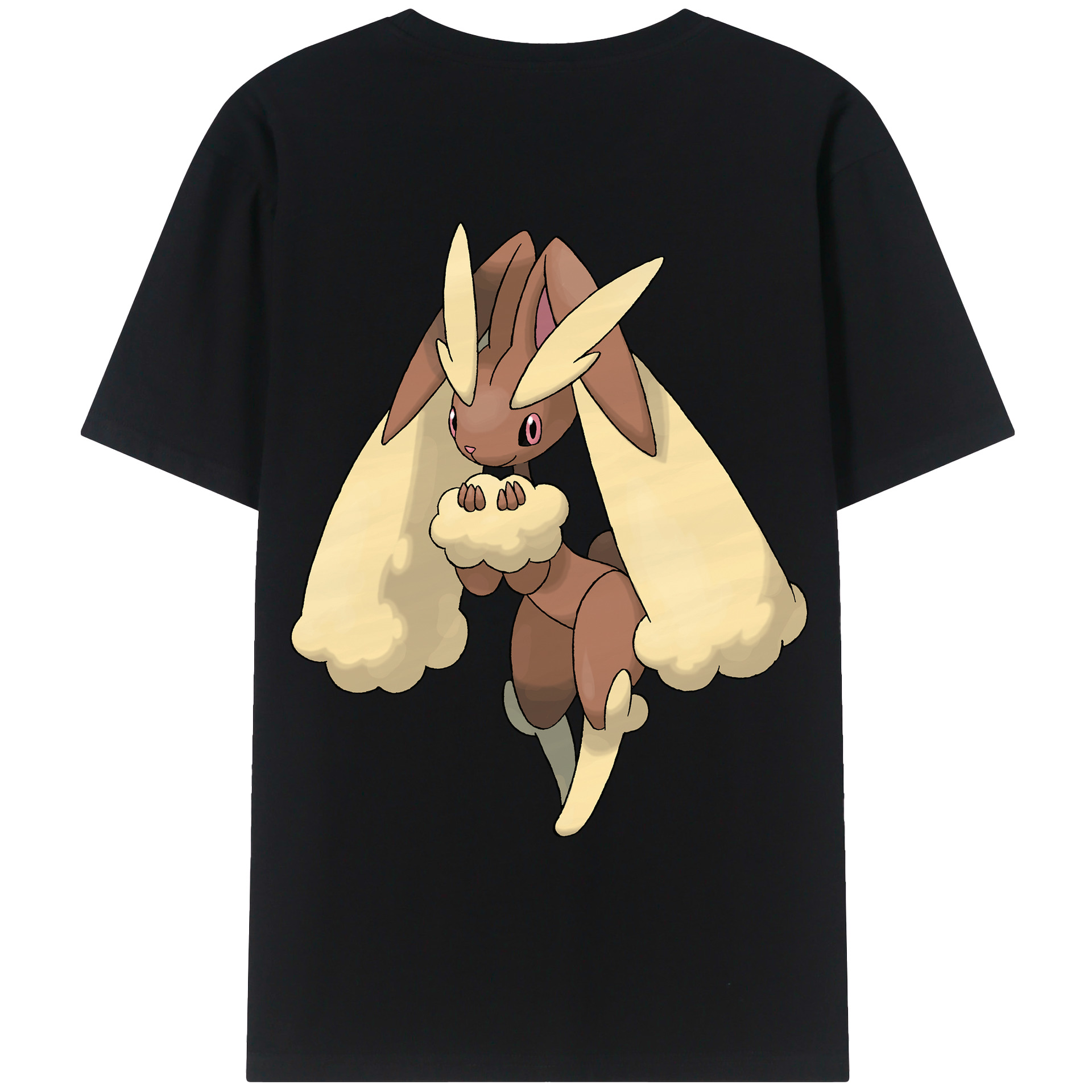 （画像用） ポケットモンスター Pokémon レディース半袖Tシャツ(バックプリント)