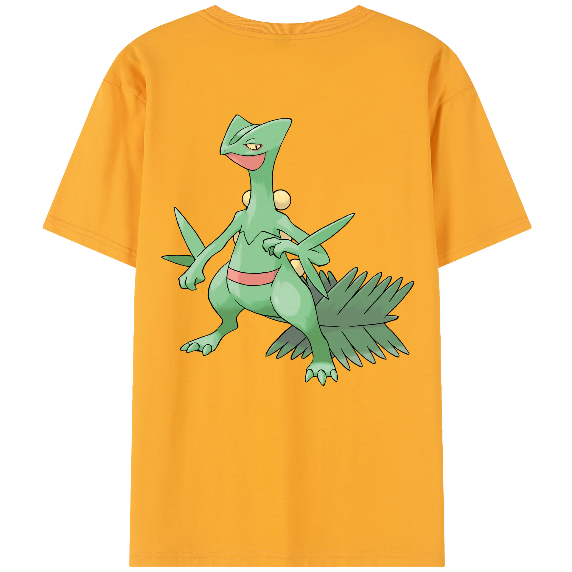 （画像用） ポケットモンスター Pokémon レディース半袖Tシャツ(バックプリント)