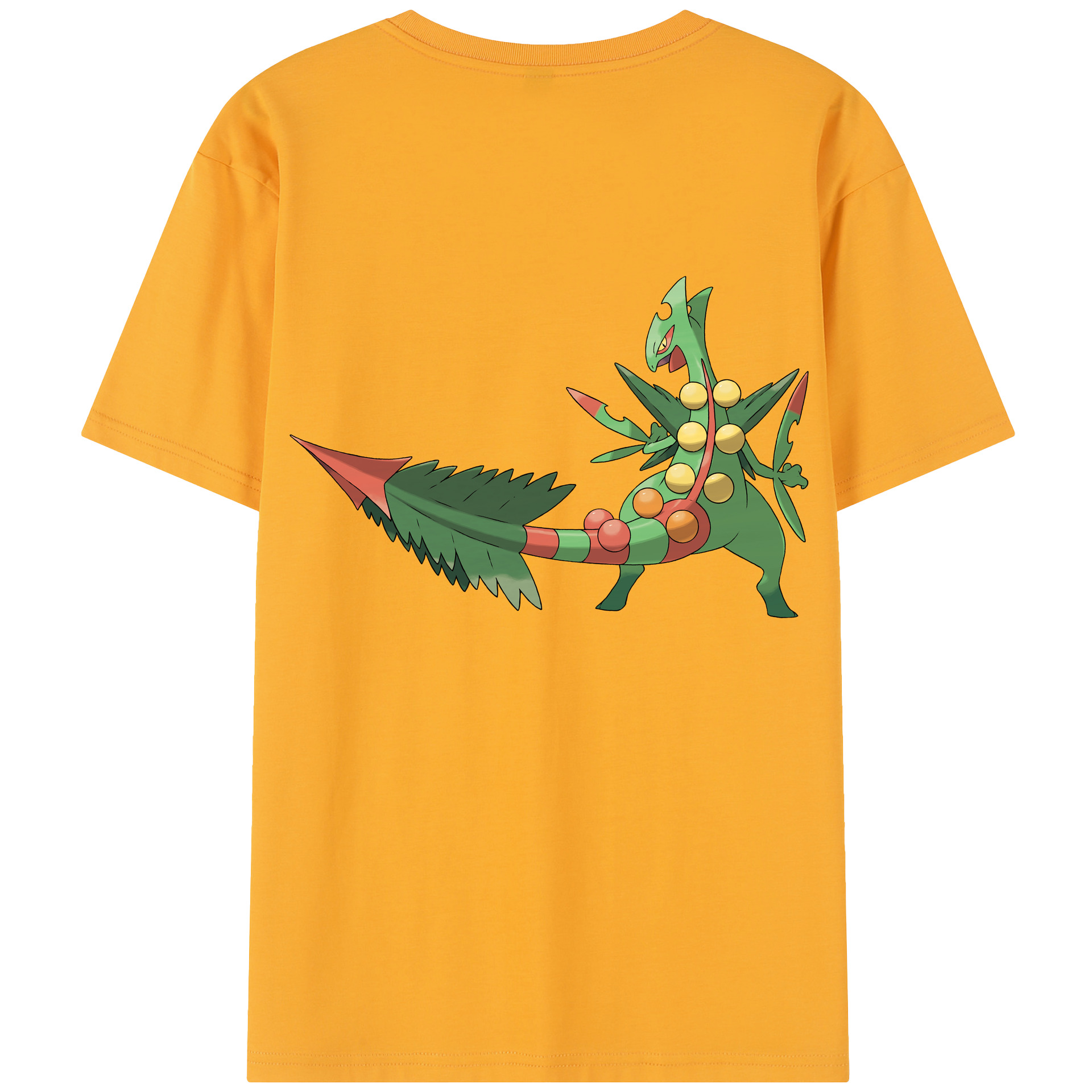 （画像用） ポケットモンスター Pokémon レディース半袖Tシャツ(バックプリント)