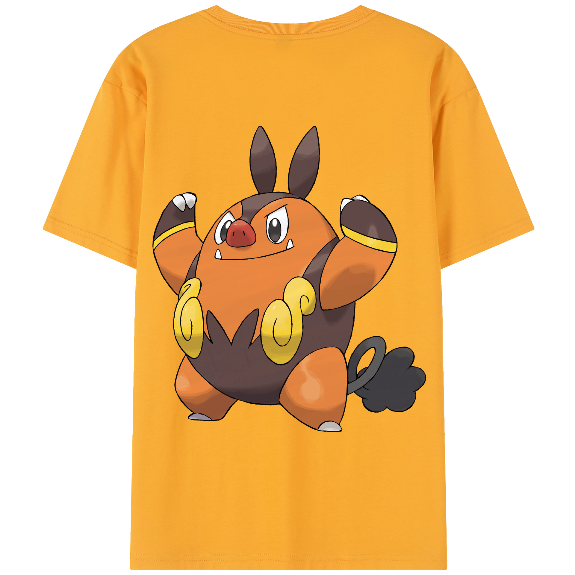 （画像用） ポケットモンスター Pokémon レディース半袖Tシャツ(バックプリント)
