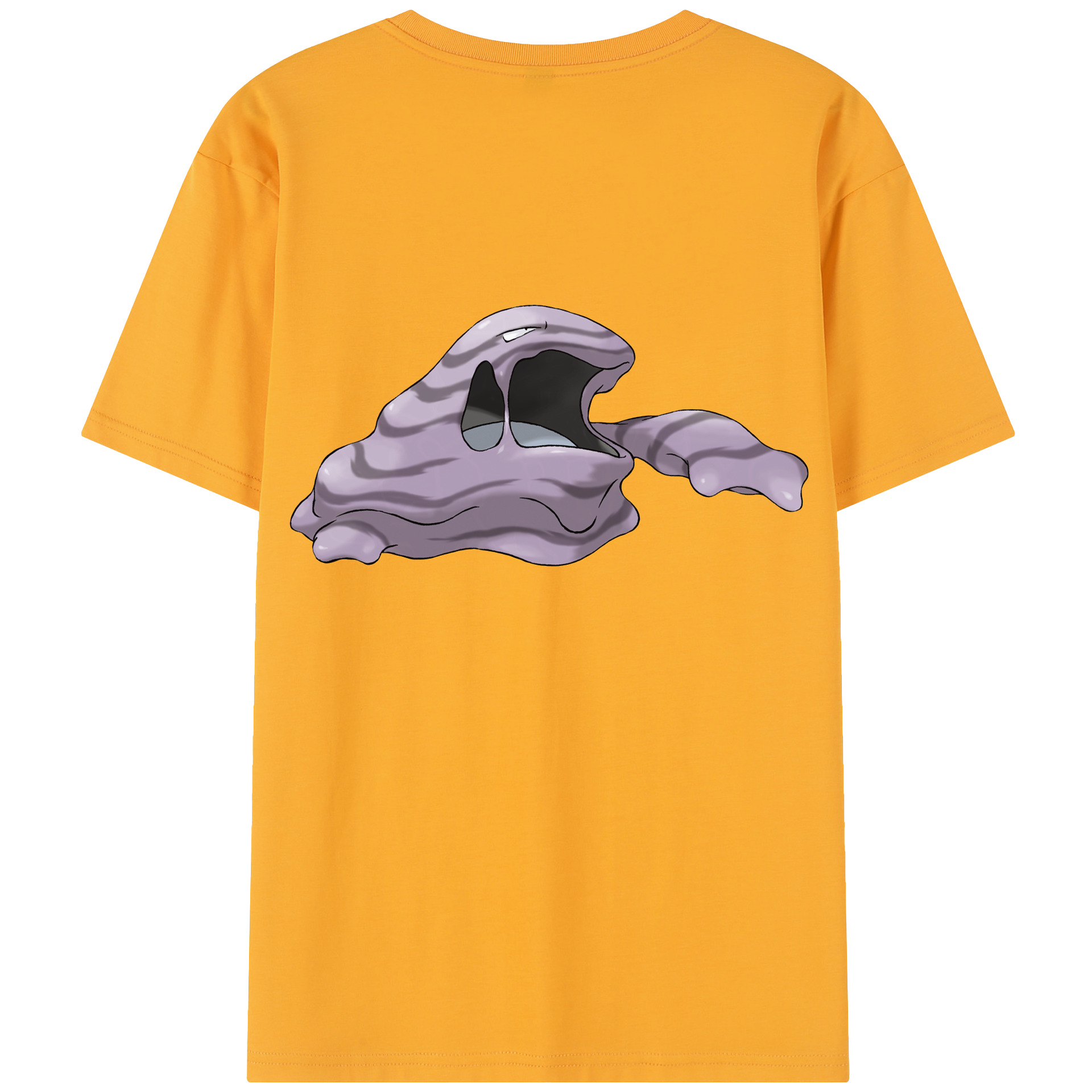 （画像用） ポケットモンスター Pokémon レディース半袖Tシャツ(バックプリント)