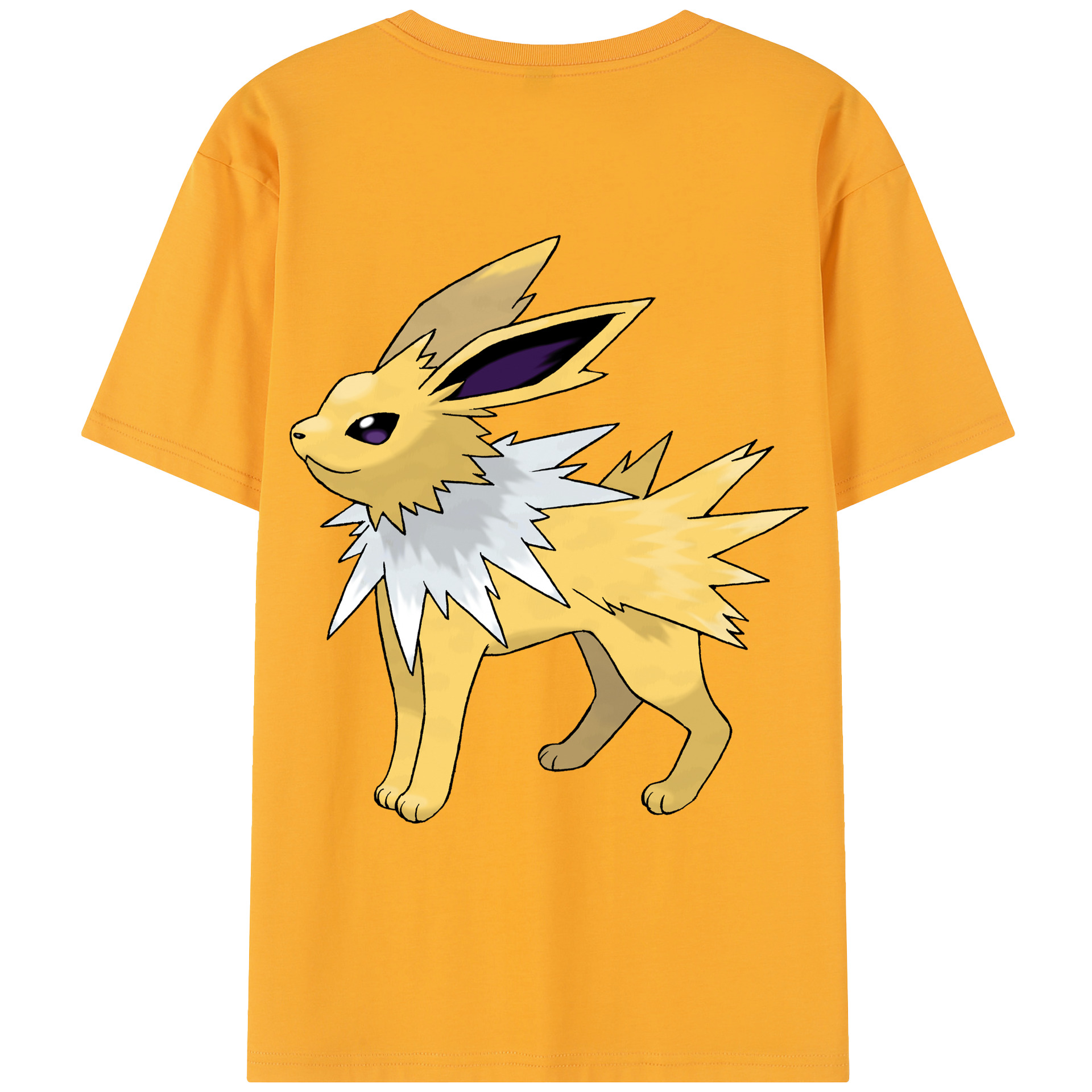 （画像用） ポケットモンスター Pokémon レディース半袖Tシャツ(バックプリント)