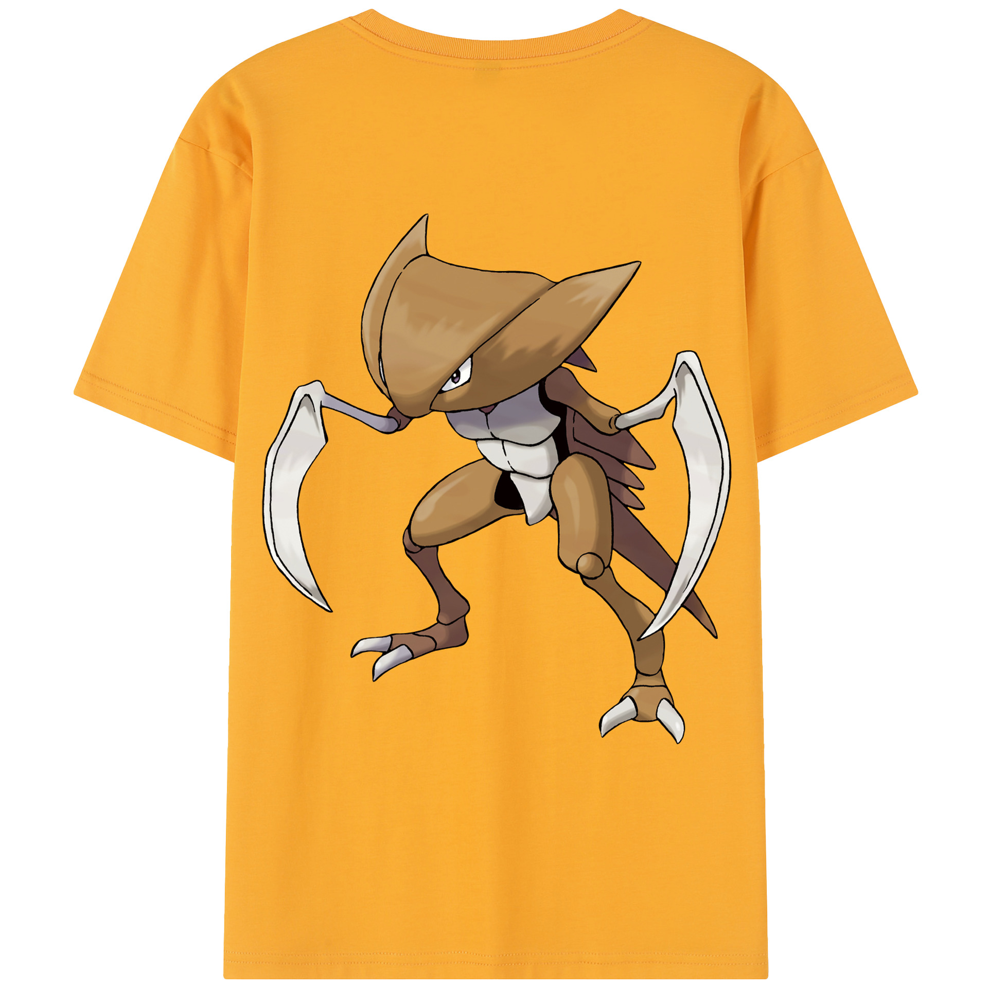 （画像用） ポケットモンスター Pokémon レディース半袖Tシャツ(バックプリント)
