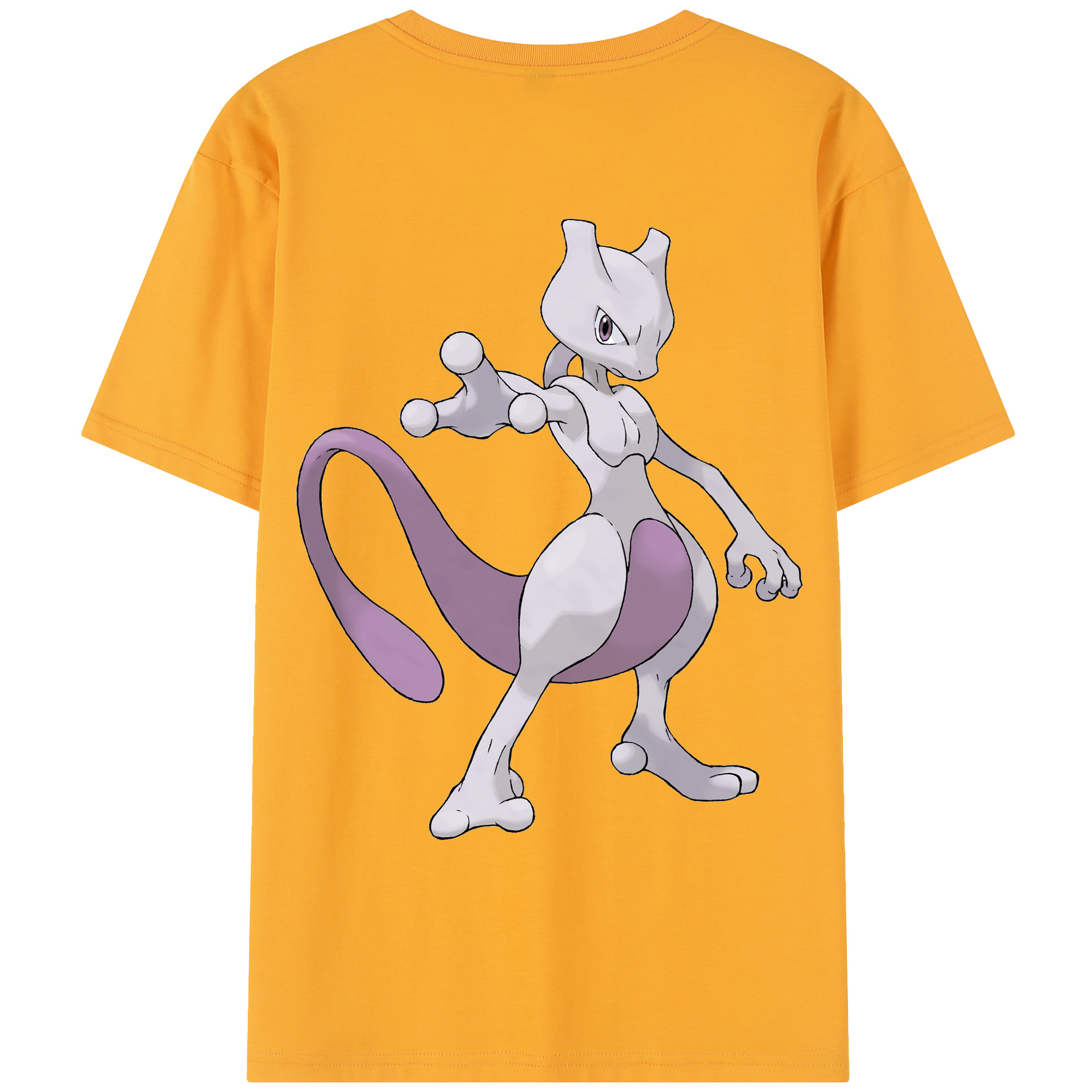 （画像用） ポケットモンスター Pokémon レディース半袖Tシャツ(バックプリント)
