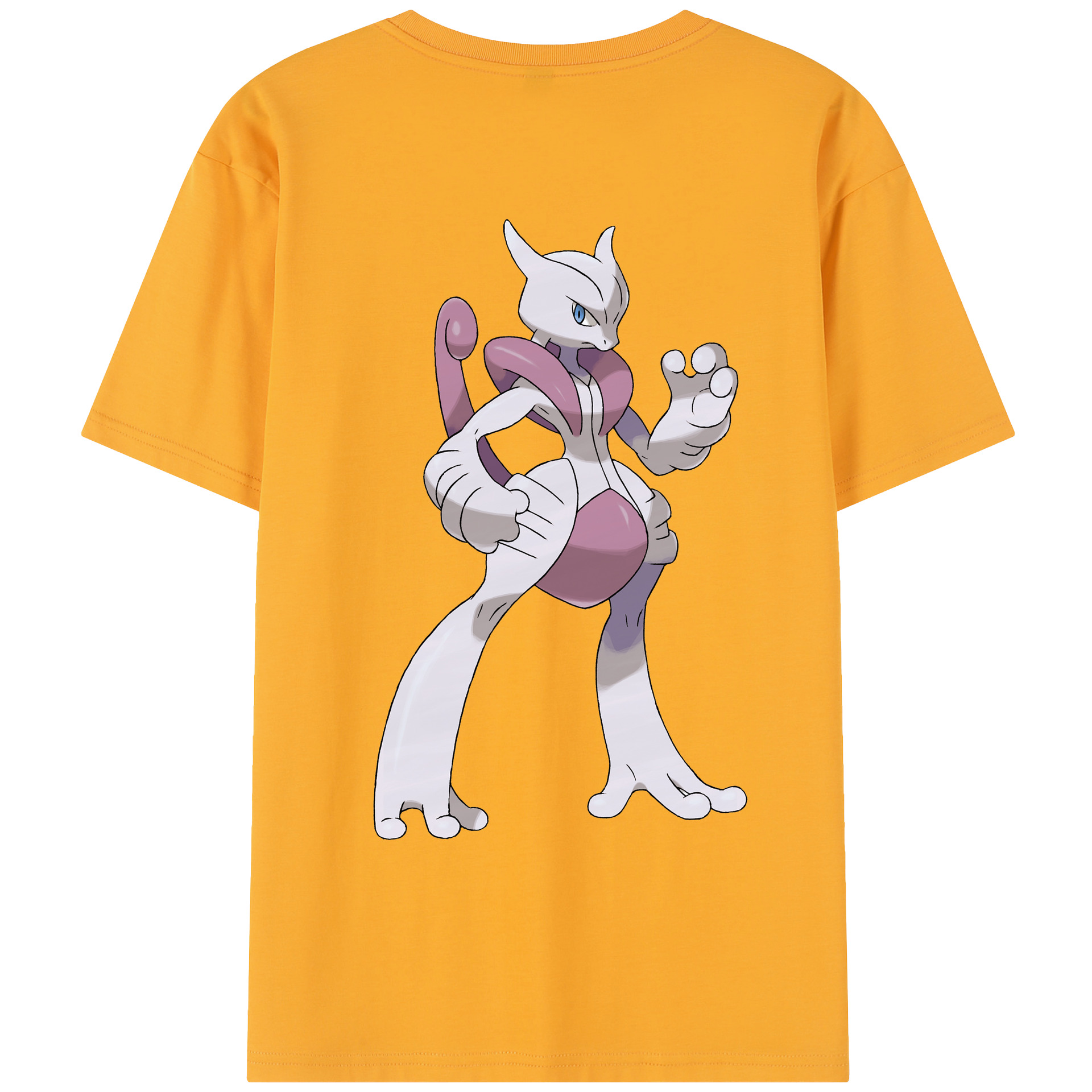 （画像用） ポケットモンスター Pokémon レディース半袖Tシャツ(バックプリント)