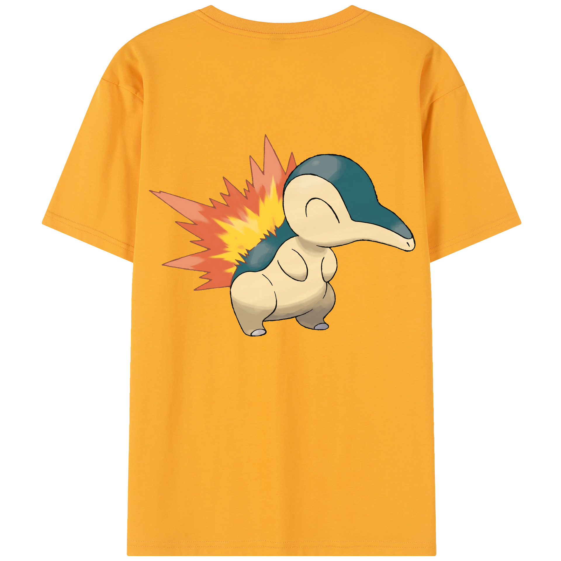 （画像用） ポケットモンスター Pokémon レディース半袖Tシャツ(バックプリント)