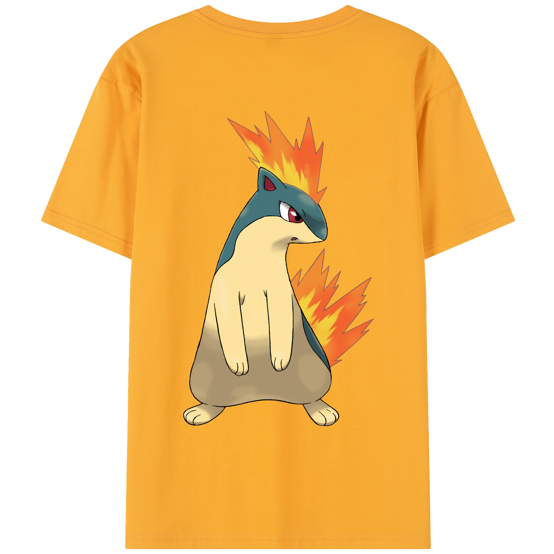 （画像用） ポケットモンスター Pokémon レディース半袖Tシャツ(バックプリント)