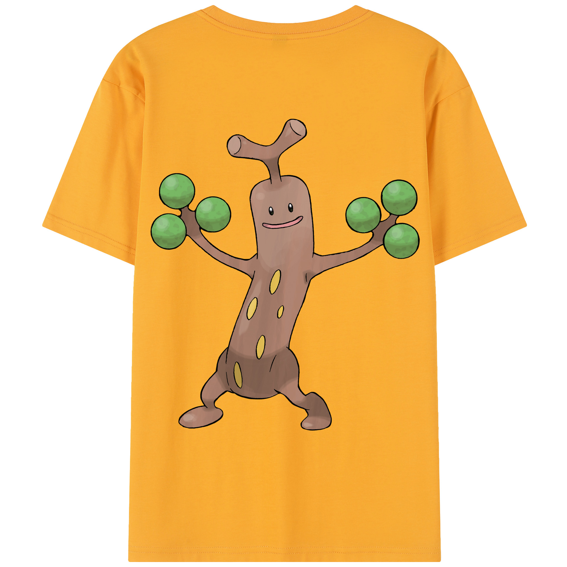 （画像用） ポケットモンスター Pokémon レディース半袖Tシャツ(バックプリント)