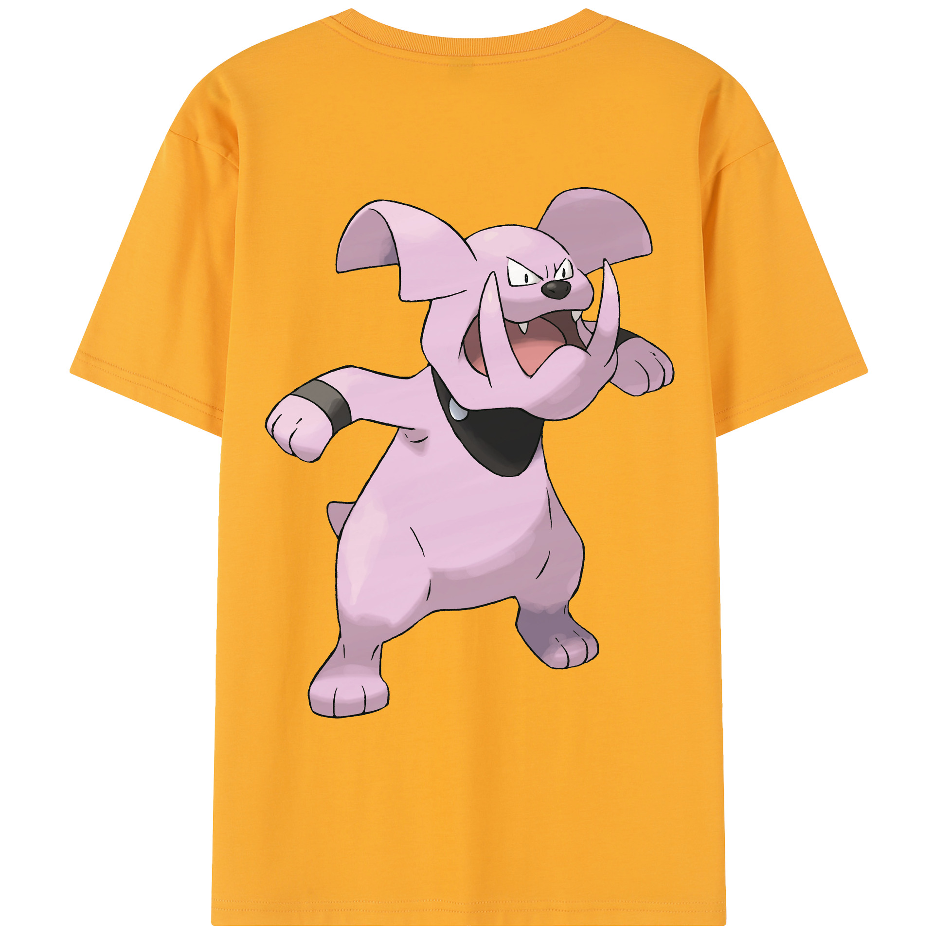 （画像用） ポケットモンスター Pokémon レディース半袖Tシャツ(バックプリント)