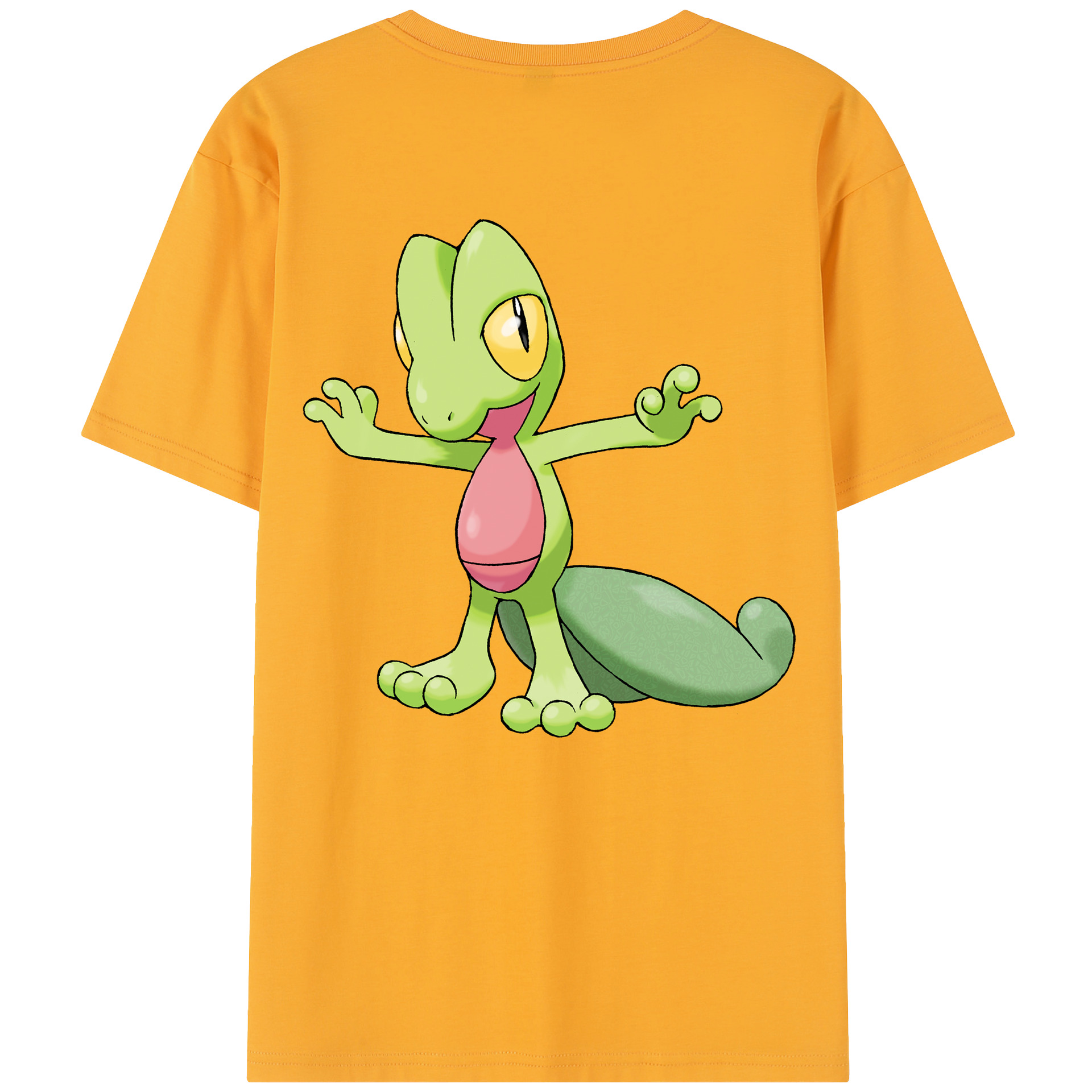 （画像用） ポケットモンスター Pokémon レディース半袖Tシャツ(バックプリント)