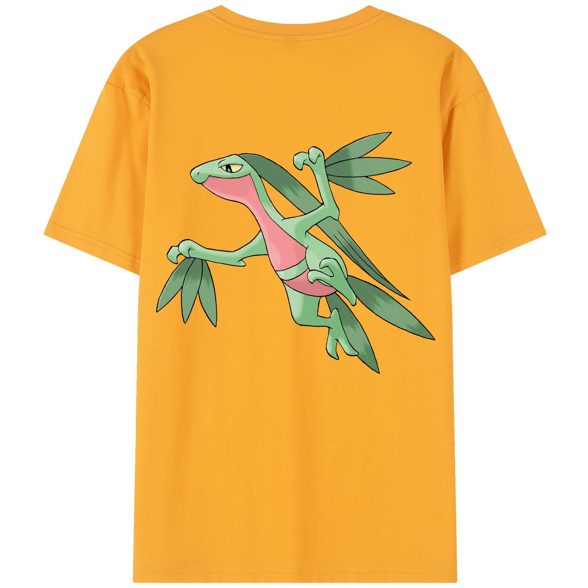（画像用） ポケットモンスター Pokémon レディース半袖Tシャツ(バックプリント)