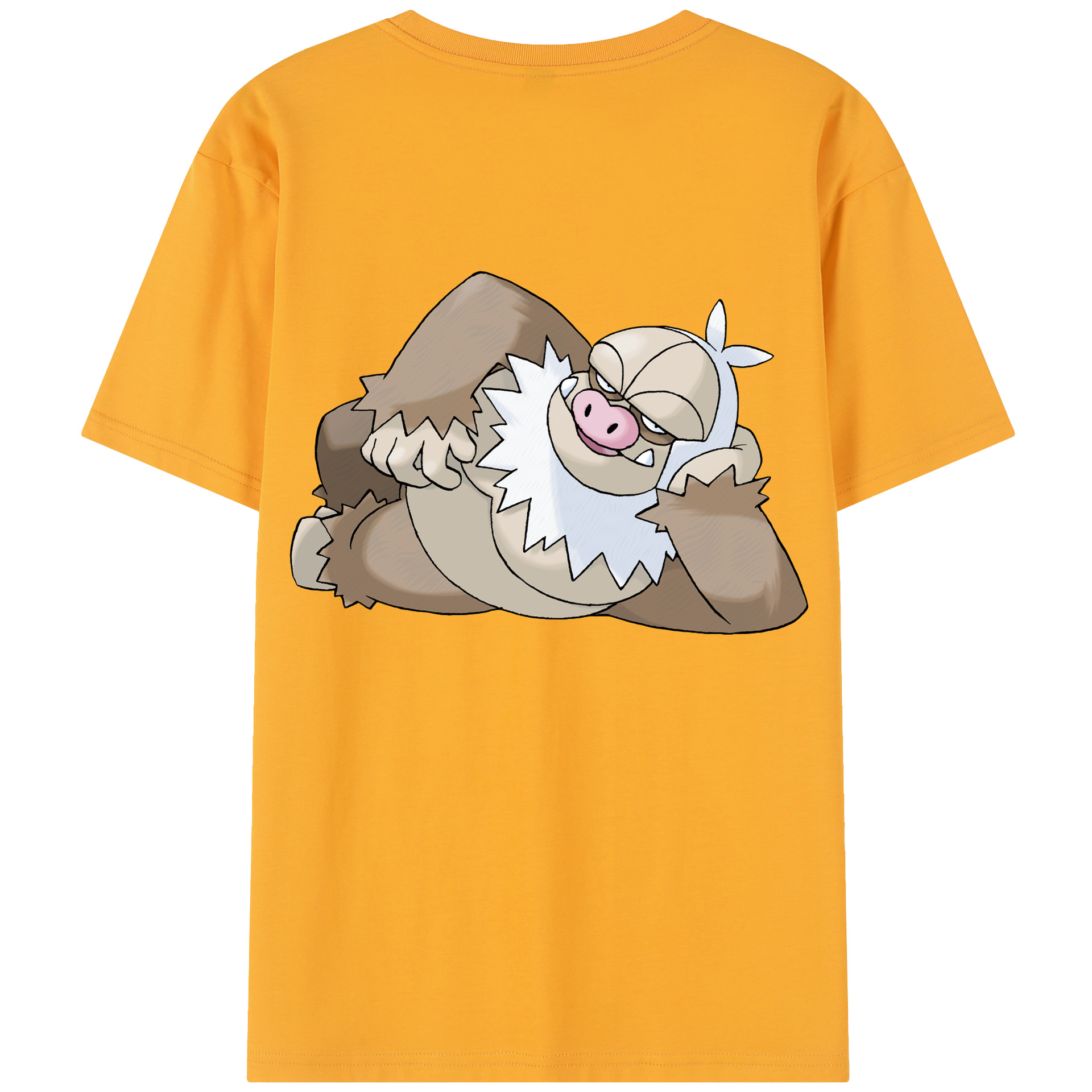 （画像用） ポケットモンスター Pokémon レディース半袖Tシャツ(バックプリント)