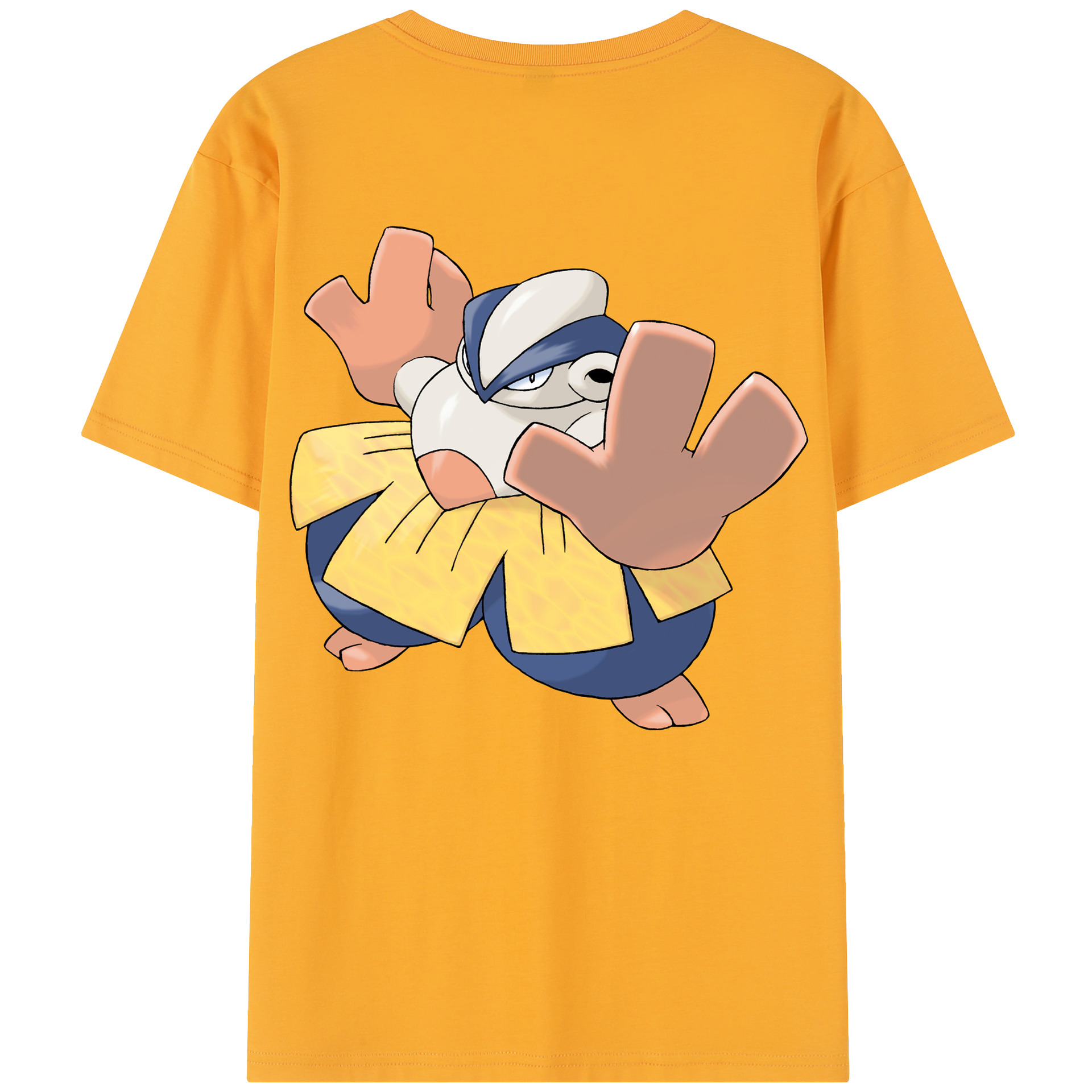 （画像用） ポケットモンスター Pokémon レディース半袖Tシャツ(バックプリント)