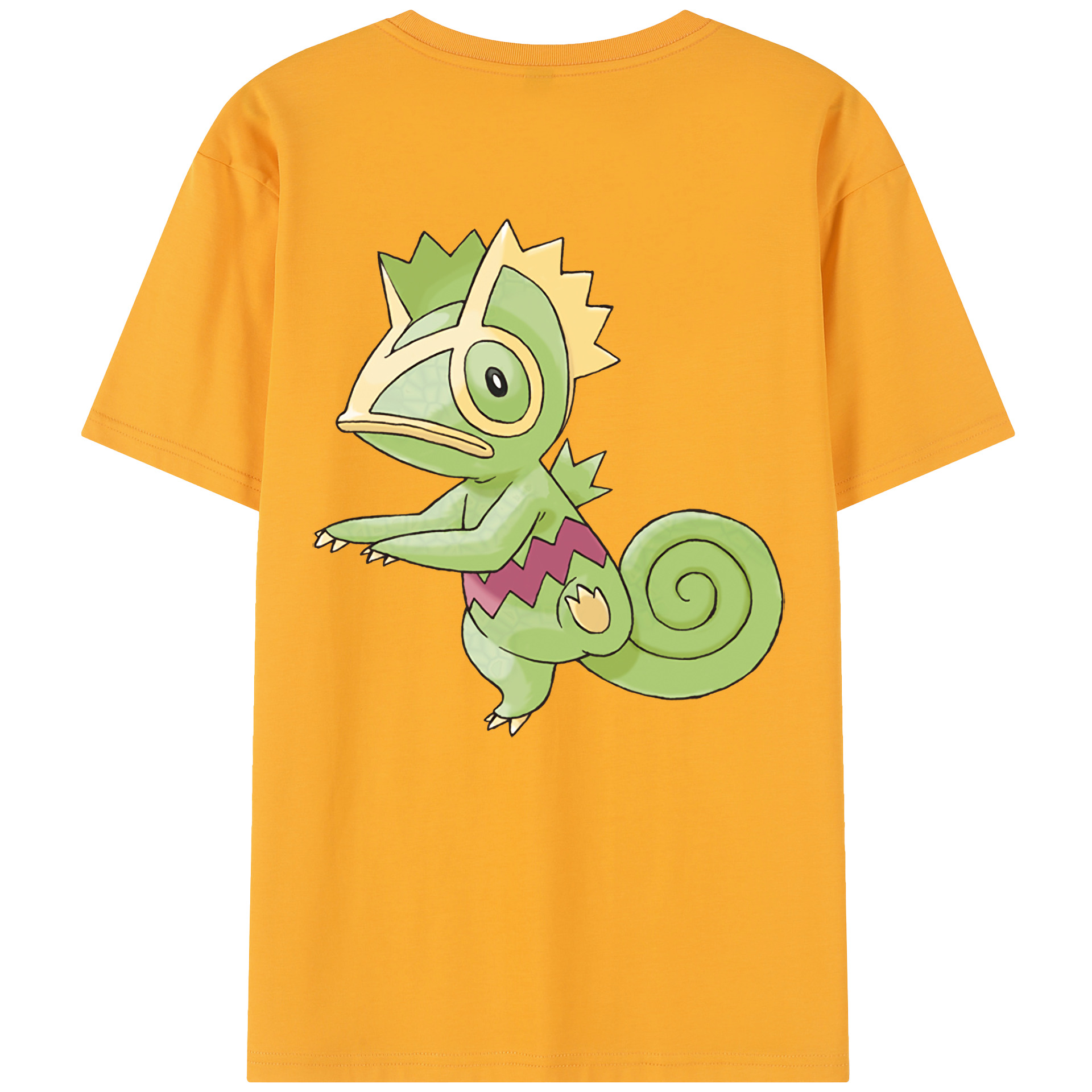 （画像用） ポケットモンスター Pokémon レディース半袖Tシャツ(バックプリント)