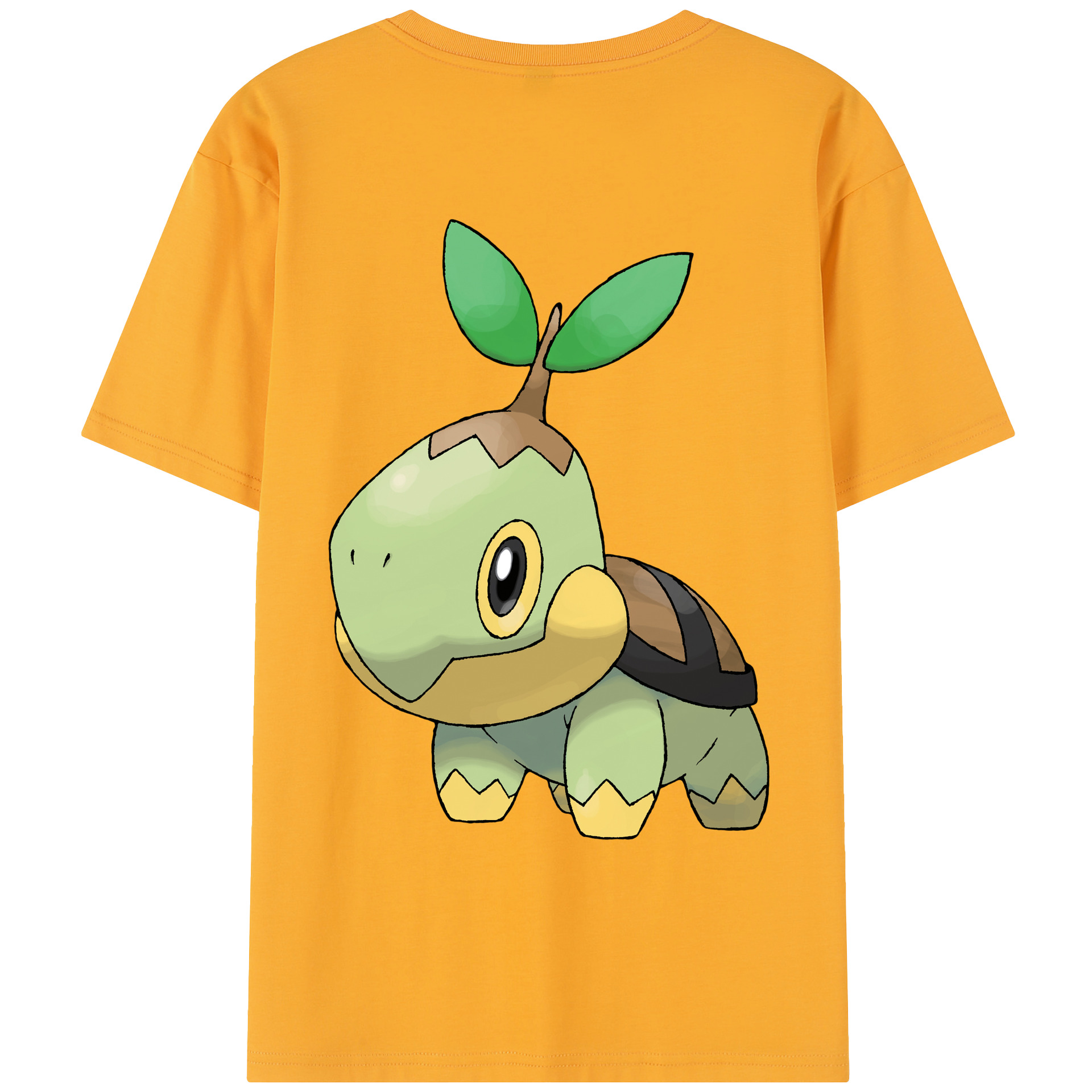 （画像用） ポケットモンスター Pokémon レディース半袖Tシャツ(バックプリント)