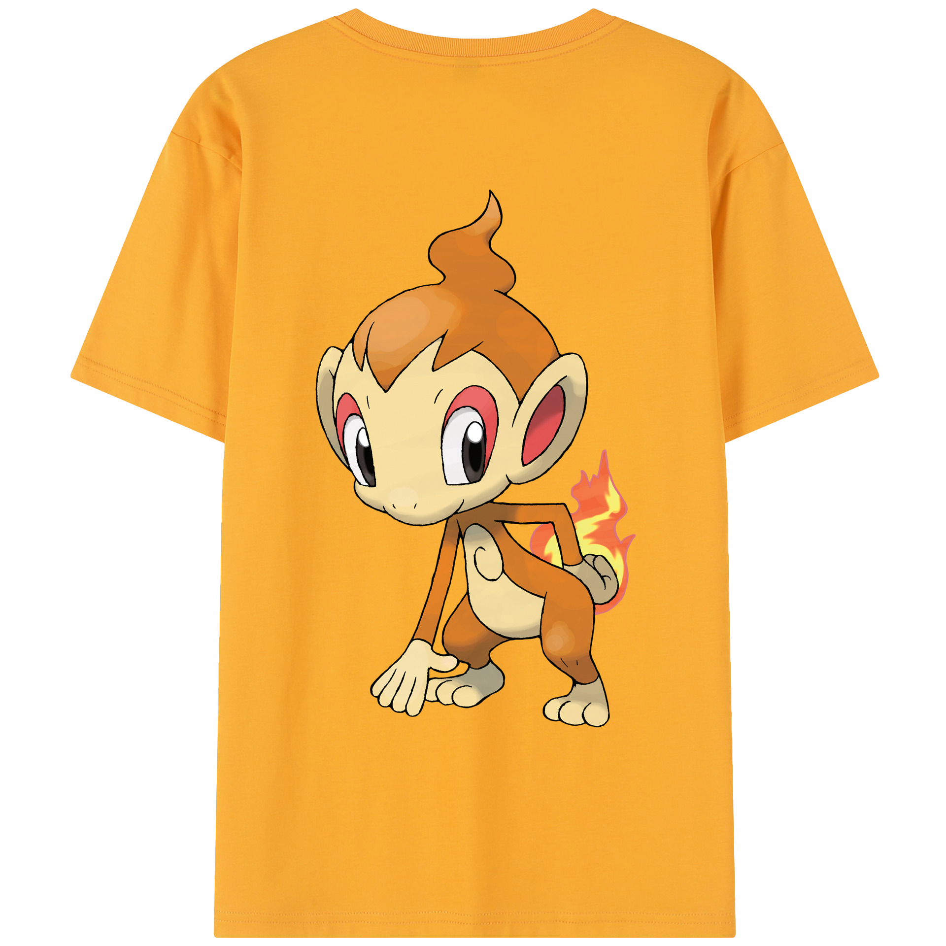 （画像用） ポケットモンスター Pokémon レディース半袖Tシャツ(バックプリント)