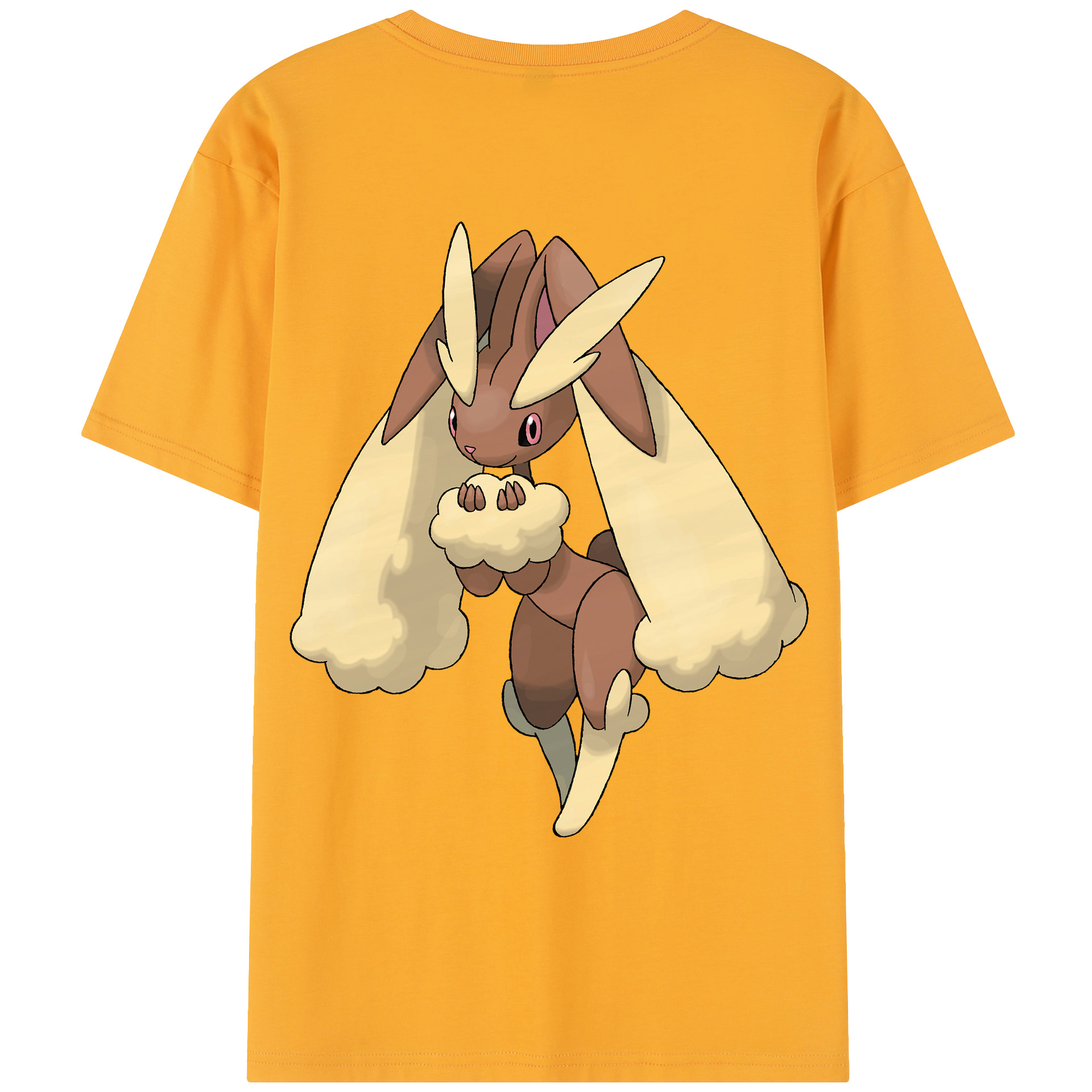 （画像用） ポケットモンスター Pokémon レディース半袖Tシャツ(バックプリント)