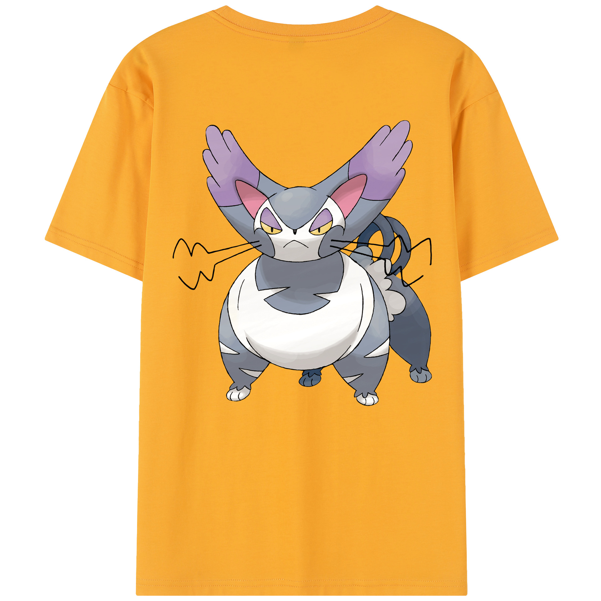 （画像用） ポケットモンスター Pokémon レディース半袖Tシャツ(バックプリント)