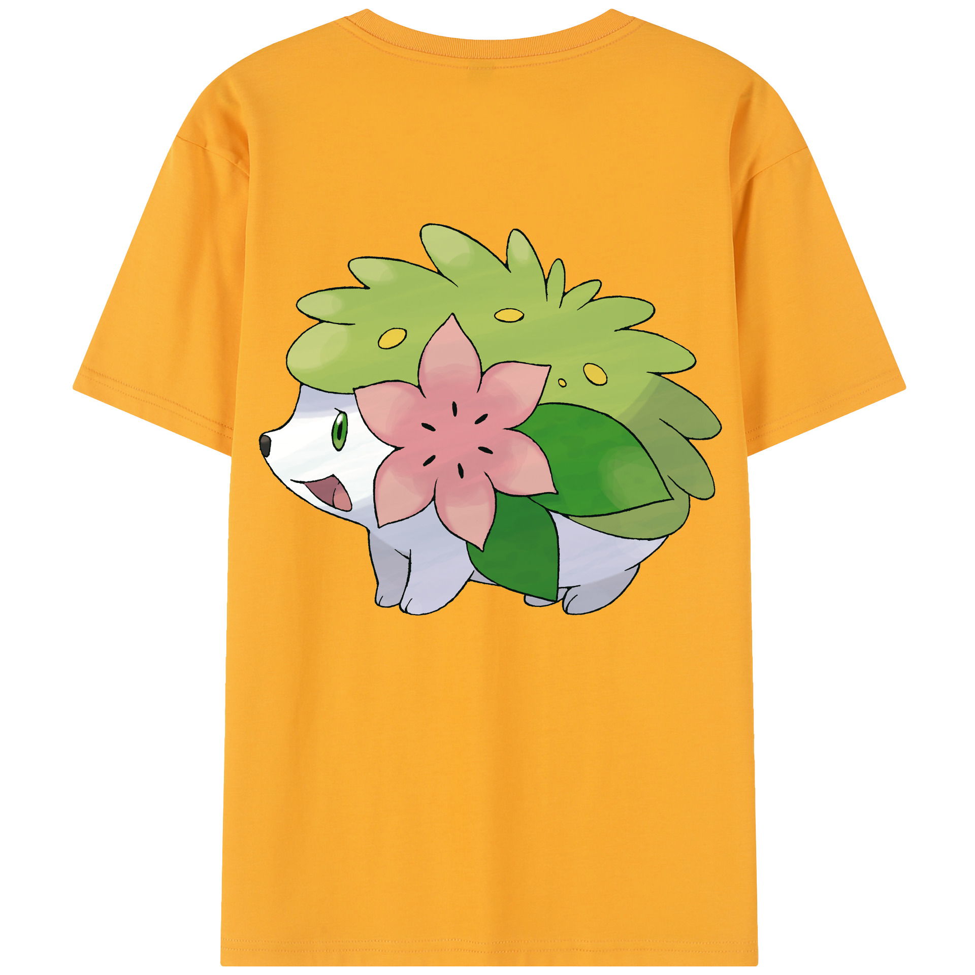 （画像用） ポケットモンスター Pokémon レディース半袖Tシャツ(バックプリント)