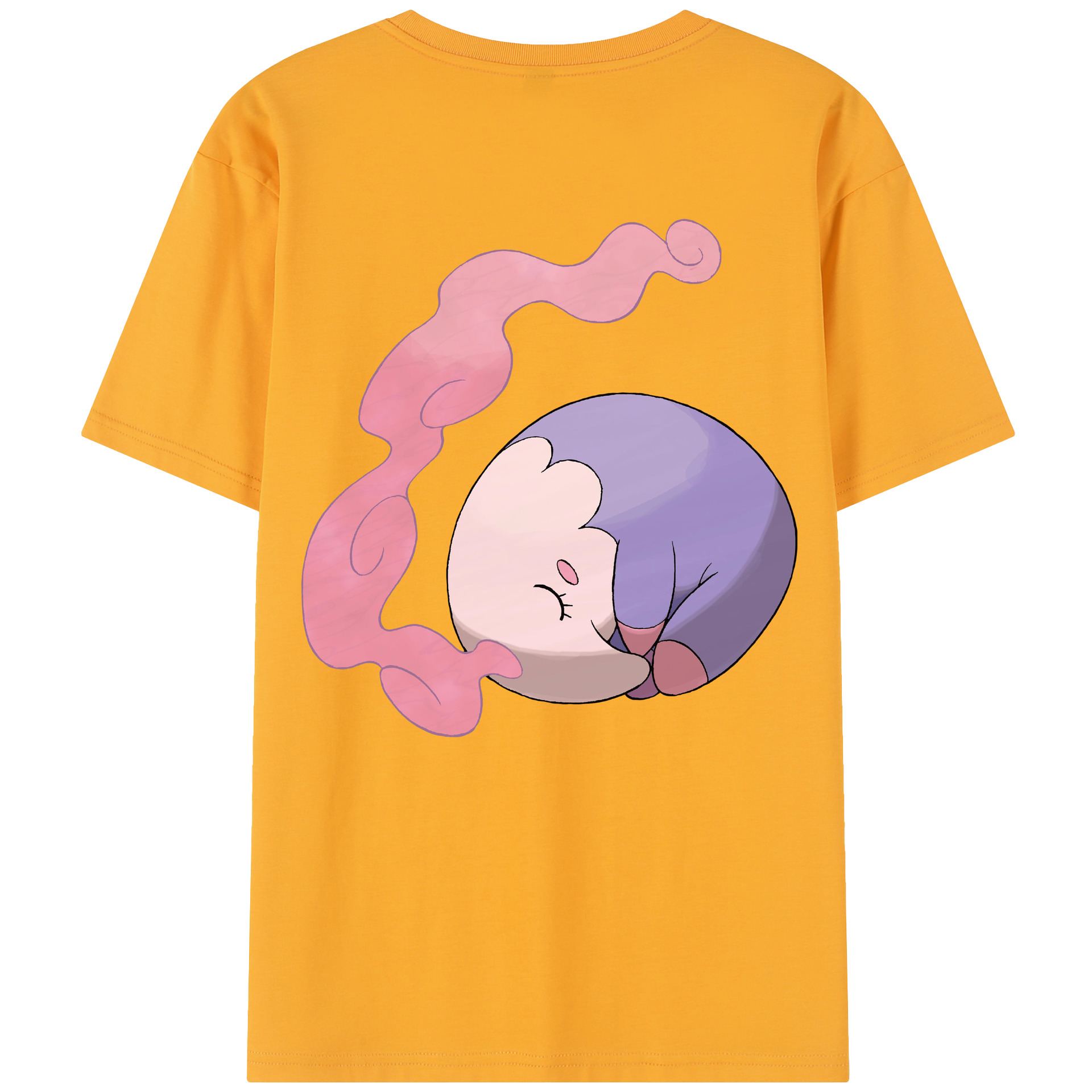 （画像用） ポケットモンスター Pokémon レディース半袖Tシャツ(バックプリント)