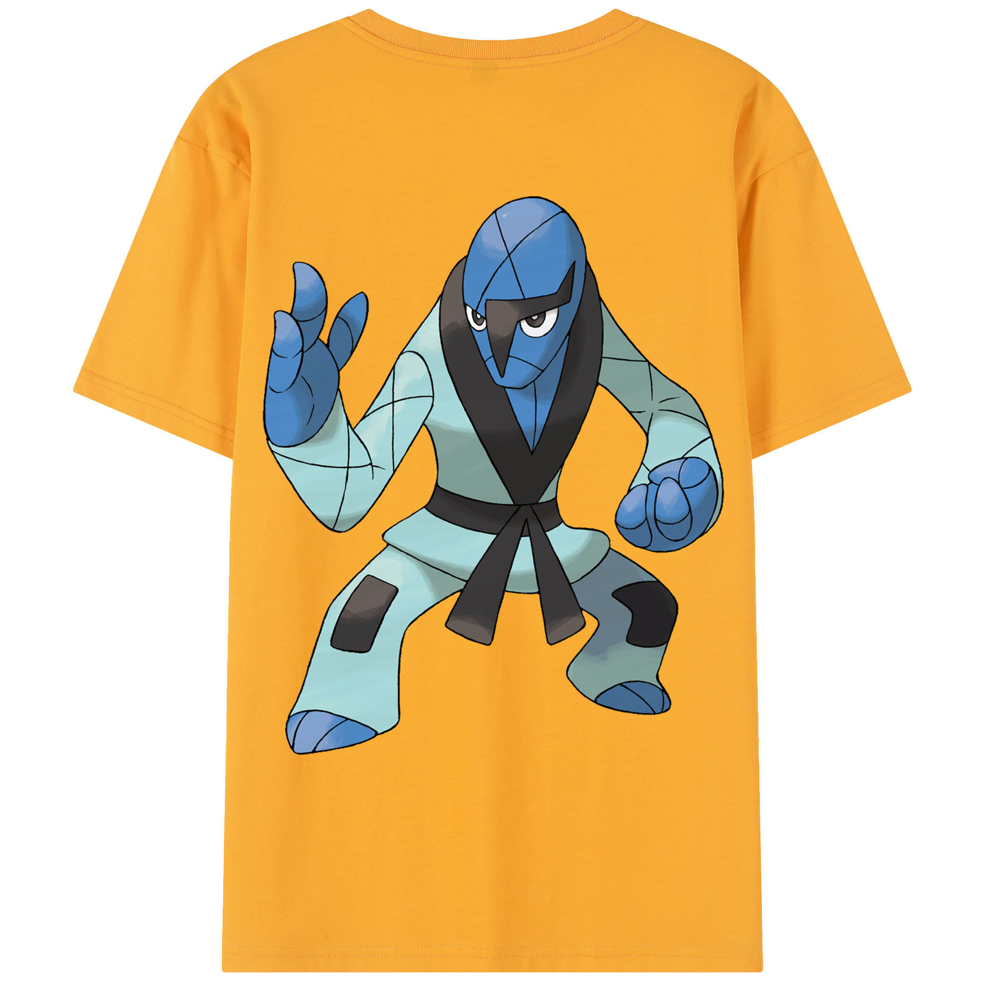 （画像用） ポケットモンスター Pokémon レディース半袖Tシャツ(バックプリント)