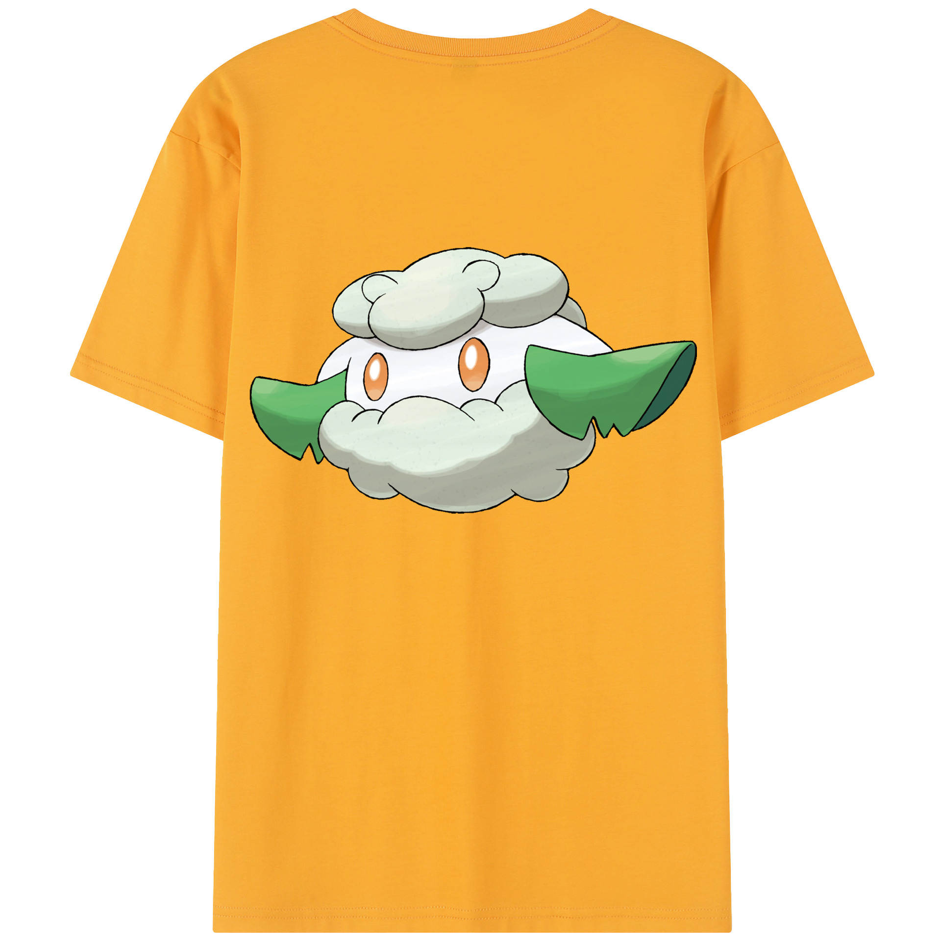 （画像用） ポケットモンスター Pokémon レディース半袖Tシャツ(バックプリント)