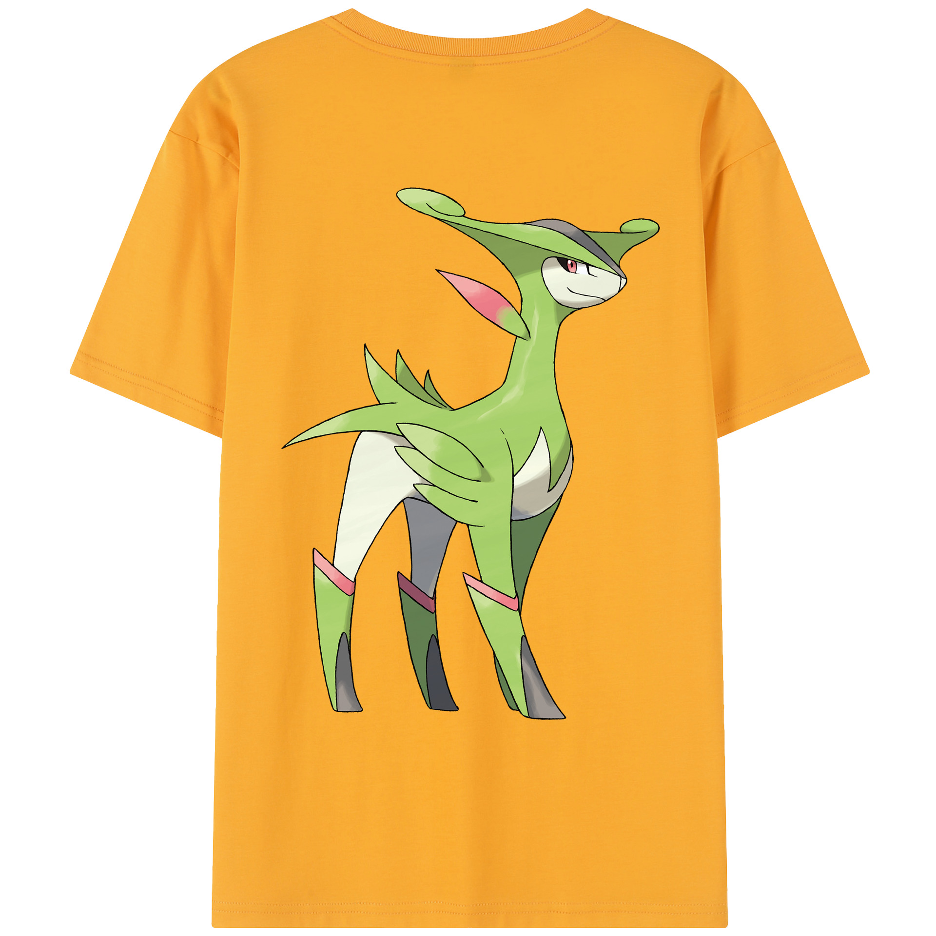 （画像用） ポケットモンスター Pokémon レディース半袖Tシャツ(バックプリント)