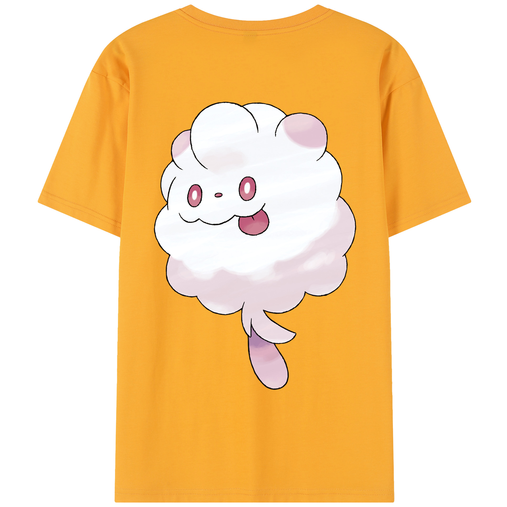 （画像用） ポケットモンスター Pokémon レディース半袖Tシャツ(バックプリント)