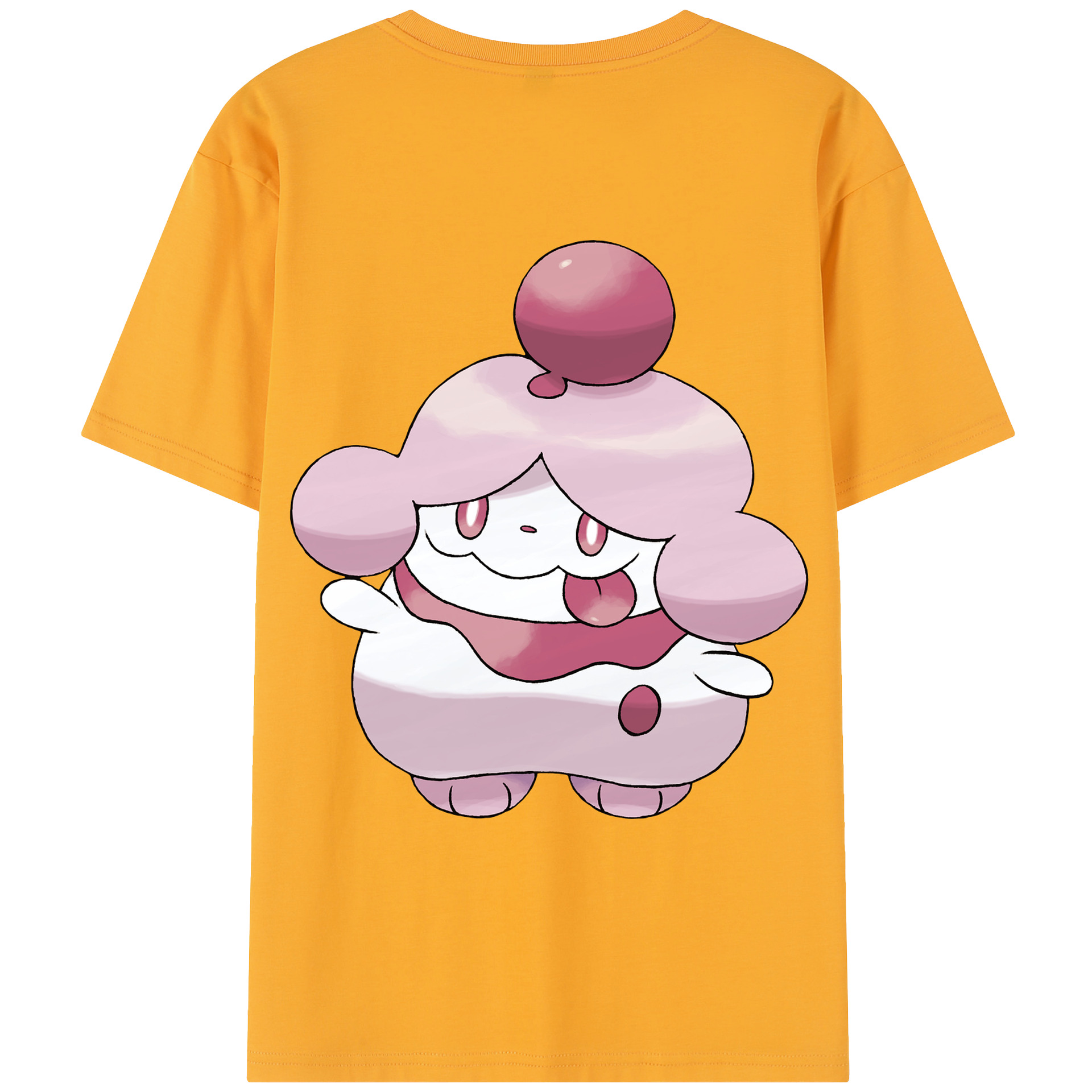 （画像用） ポケットモンスター Pokémon レディース半袖Tシャツ(バックプリント)