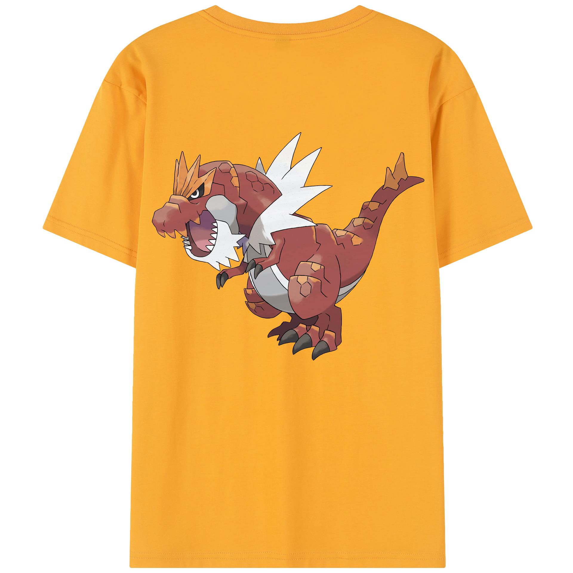 （画像用） ポケットモンスター Pokémon レディース半袖Tシャツ(バックプリント)