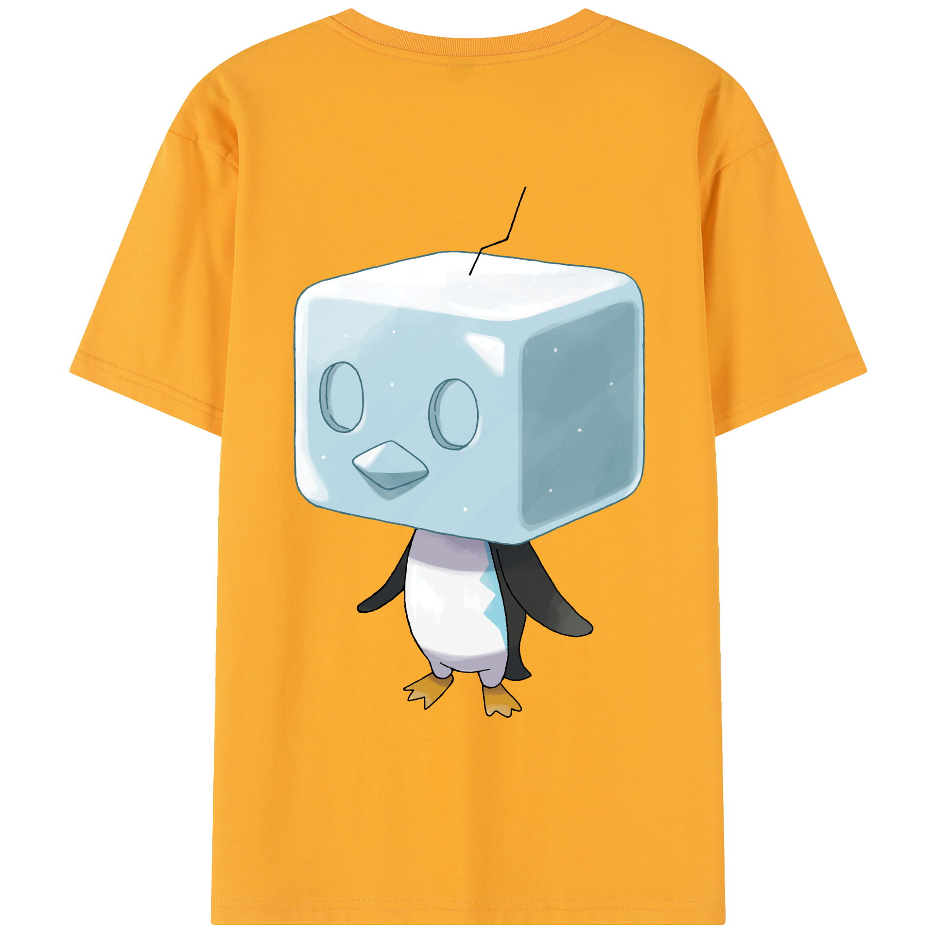 （画像用） ポケットモンスター Pokémon レディース半袖Tシャツ(バックプリント)